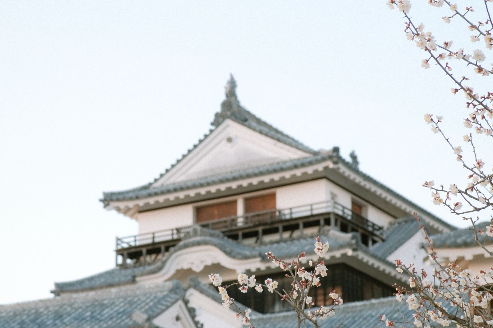 The top of a white castle keep behind branches of white plum blossom