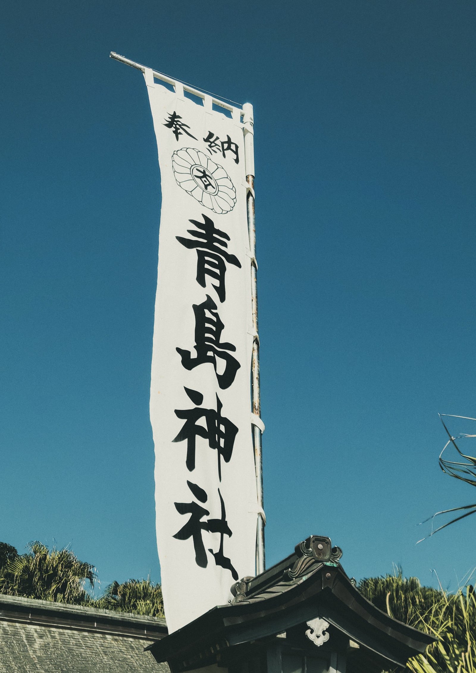 A tall white votive banner reading Aoshima Jinja against a deep blue sky