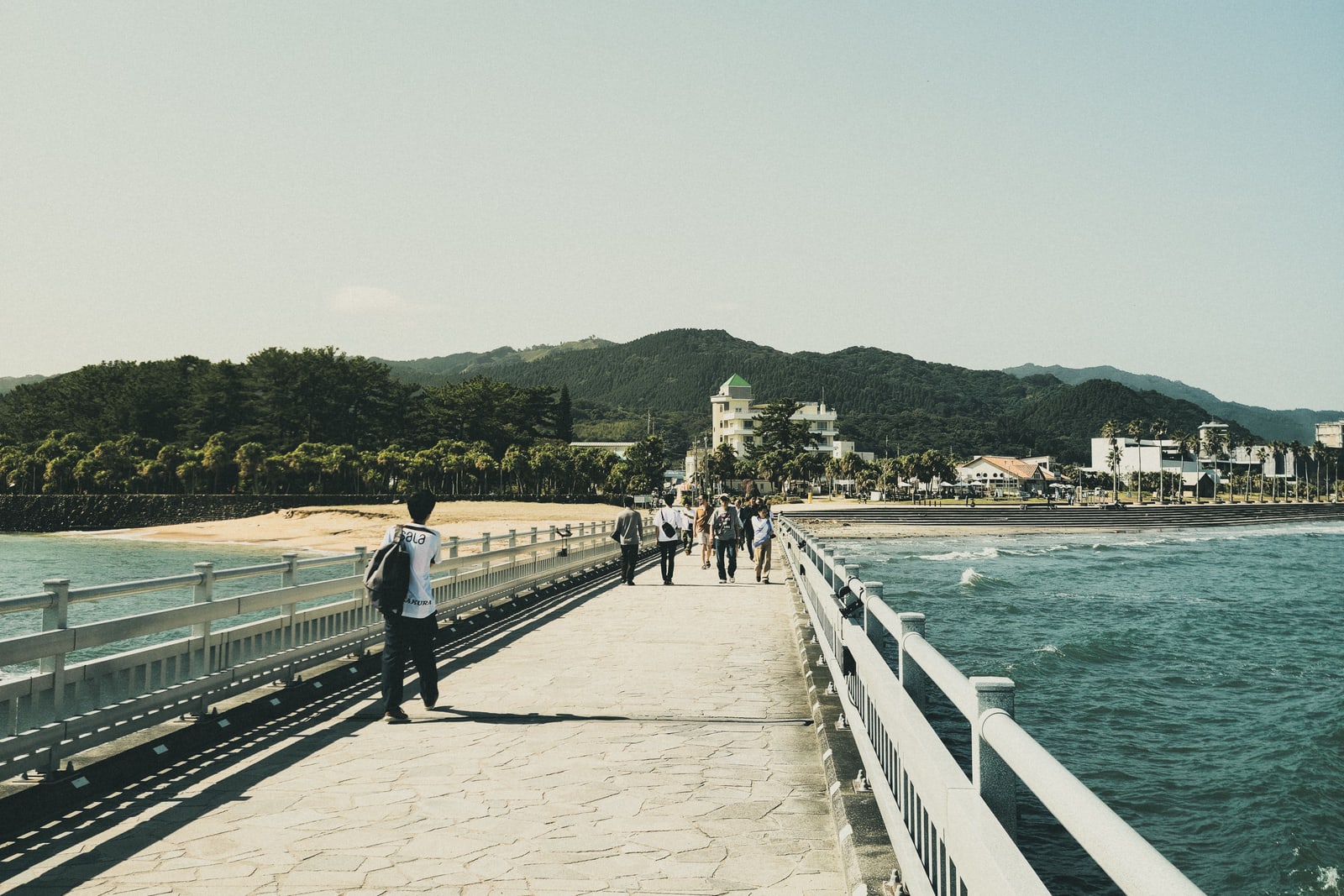 A walkway bridge with white railings leading to a palm-lined shore, forested hills behind