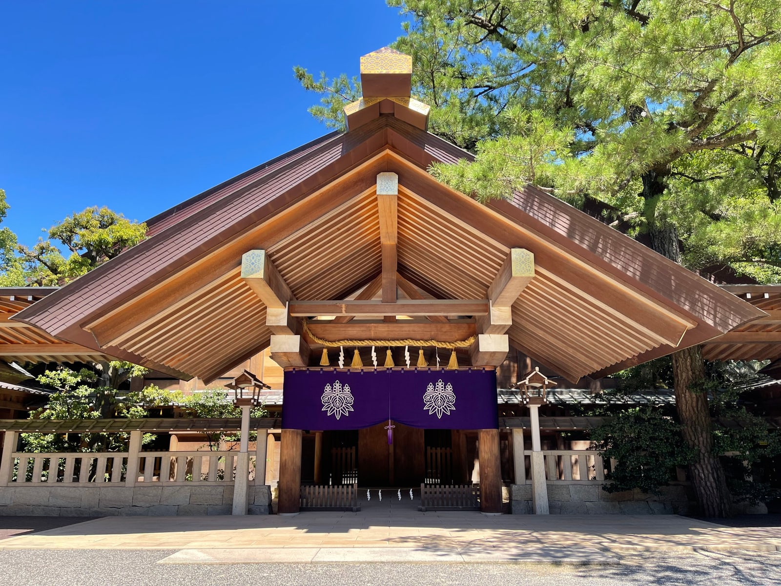 The front of a shrine hall with a wide wooden roof, a purple curtain with white crests, a shimenawa rope and a pine tree, under a blue sky