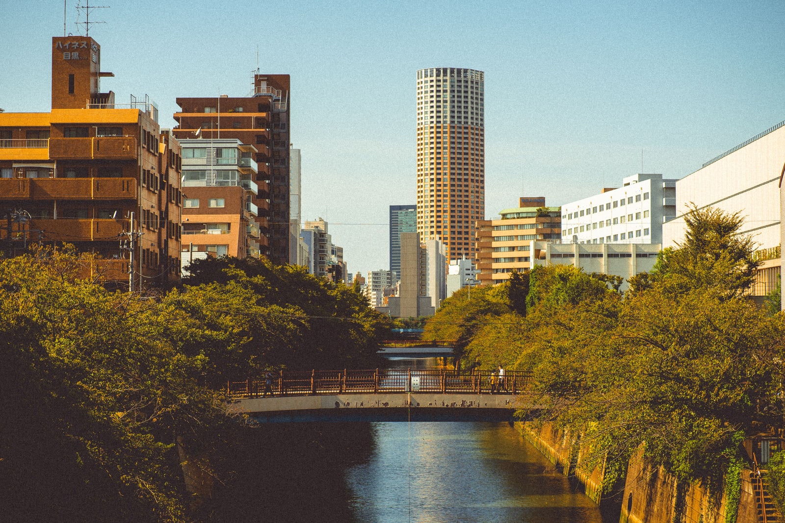 A tree-lined river in Meguro on a clear summer evening, a footbridge and apartment towers behind