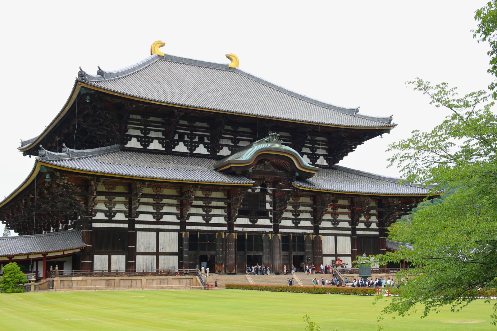The Great Buddha Hall at Todai-ji in Nara, a wide two-tiered wooden hall with gold ornaments on the roof ridge, seen across a green lawn under a pale sky.