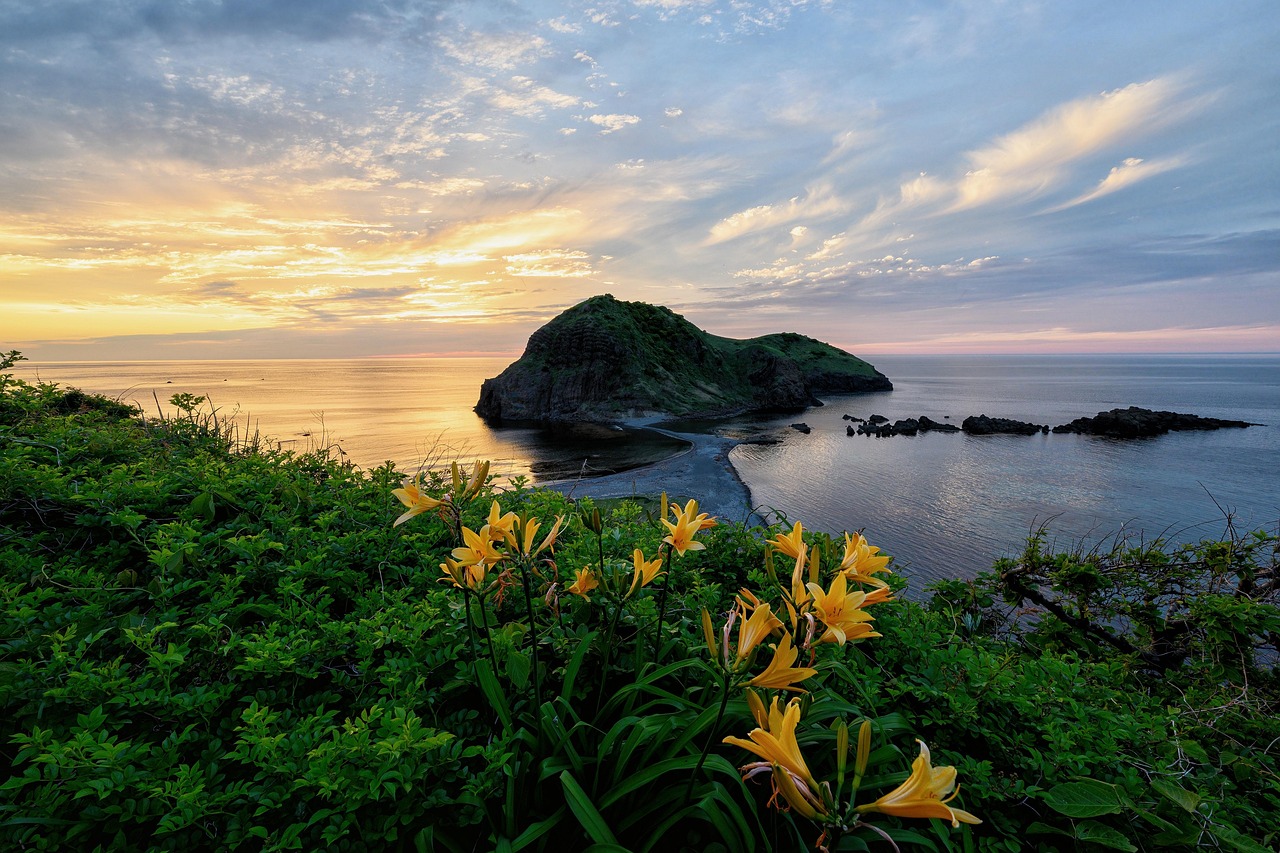 Yellow lilies above a calm sea at sunset, a grassy rock islet joined to the shore by a dark spit