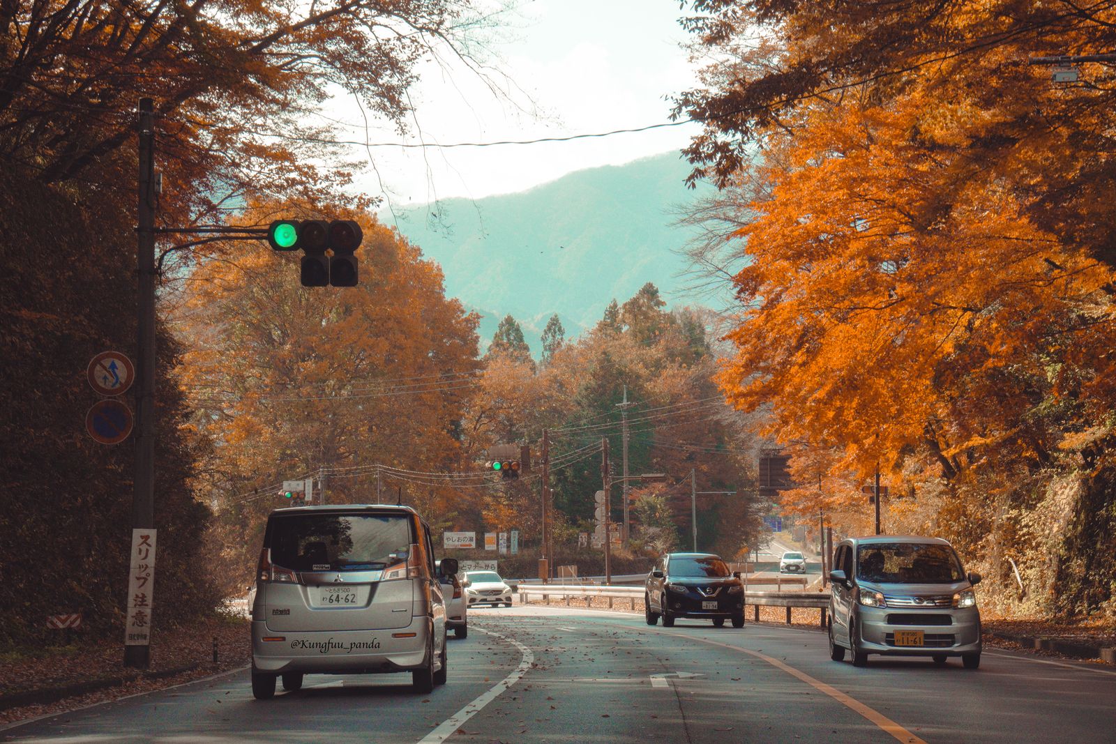 Cars on a two-lane road under orange and gold autumn trees, a traffic light, mountains ahead.