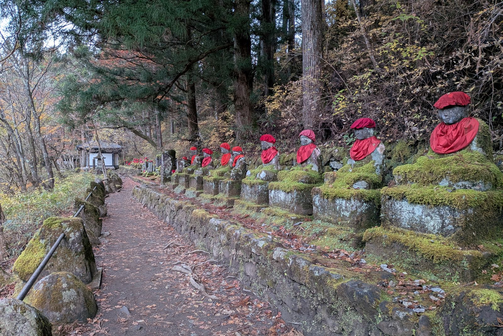 A row of moss-covered stone Jizo statues in red caps and bibs along a leaf-strewn path, cedars above.