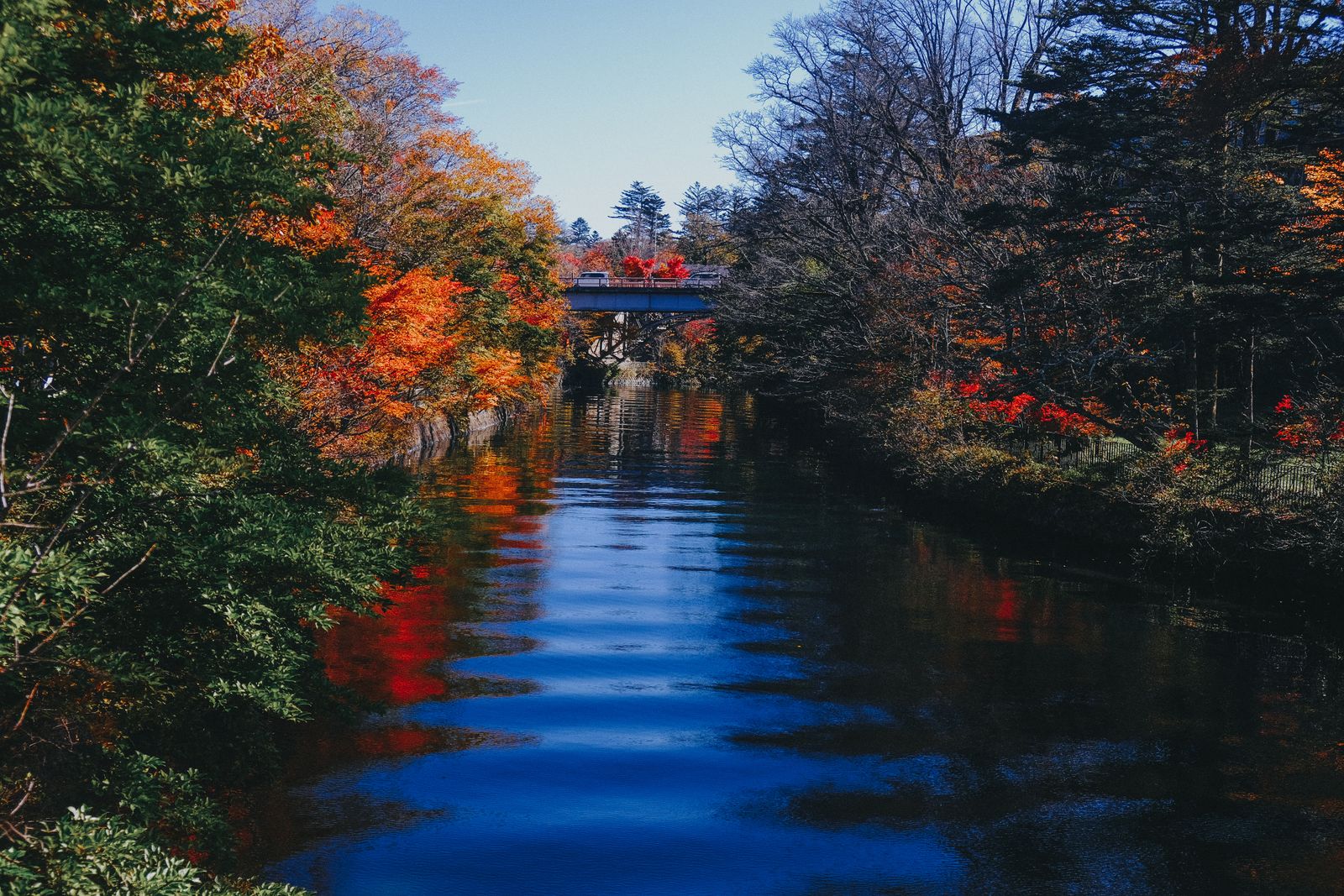 A dark blue river between autumn trees, a red bridge far upstream.