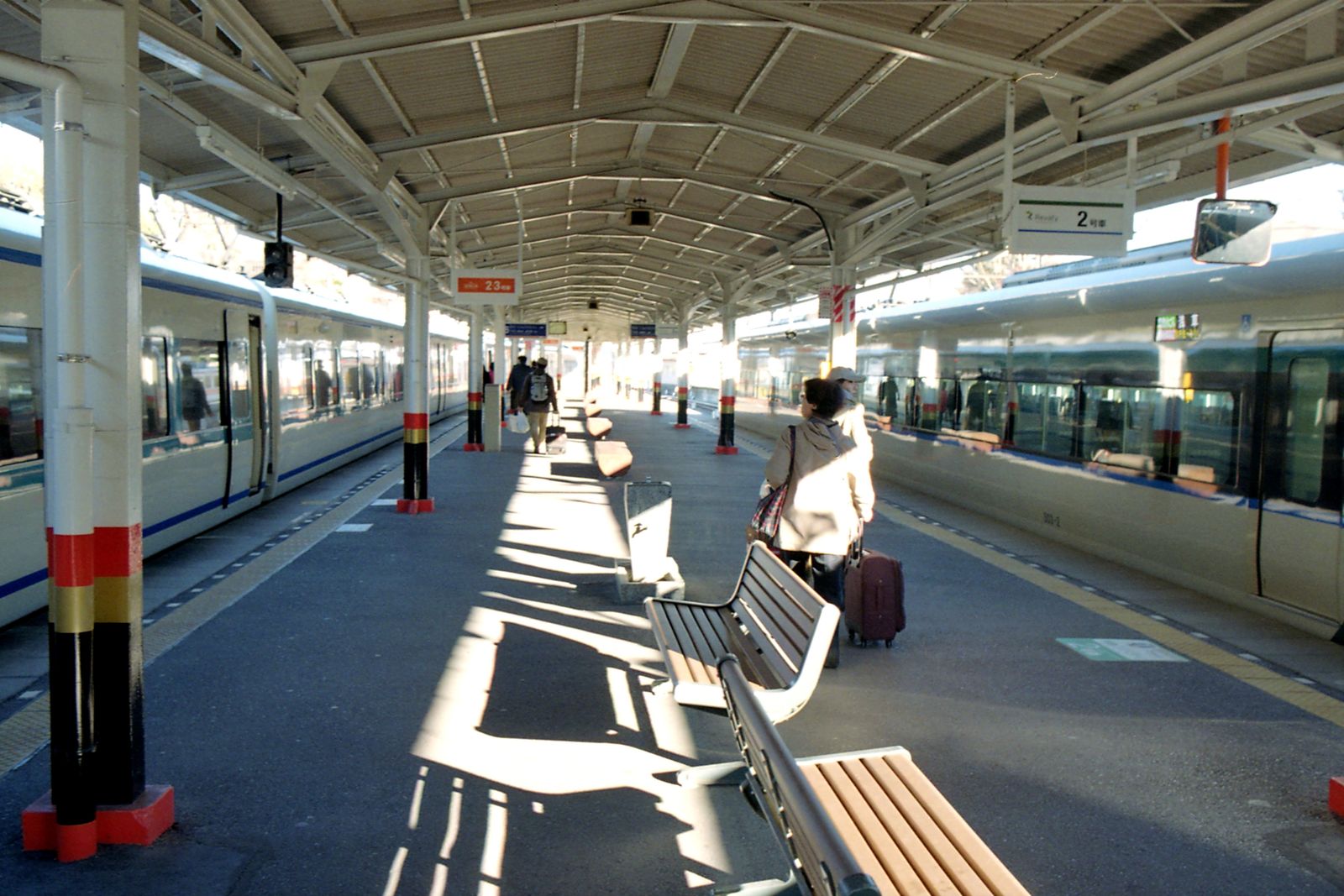 A sunny, roofed station platform with trains on both sides and a traveler with a suitcase seen from behind.