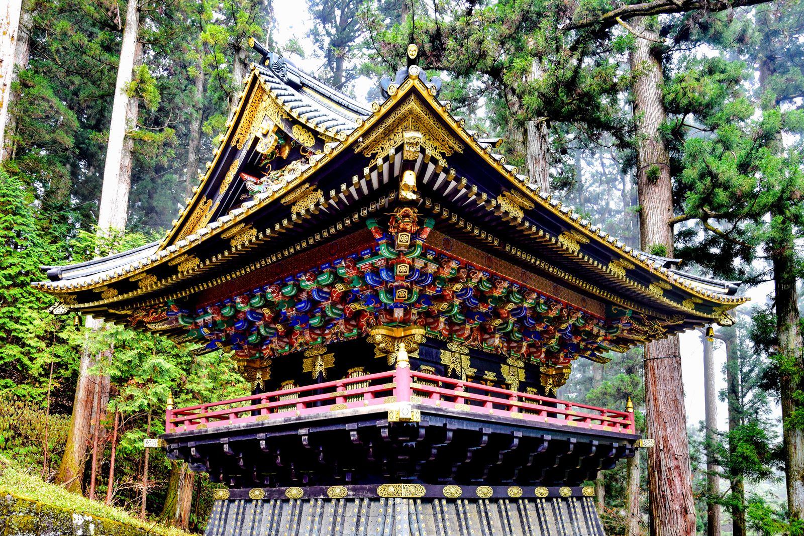 An ornate lacquered and gilded temple building with a double roof among tall cedars.