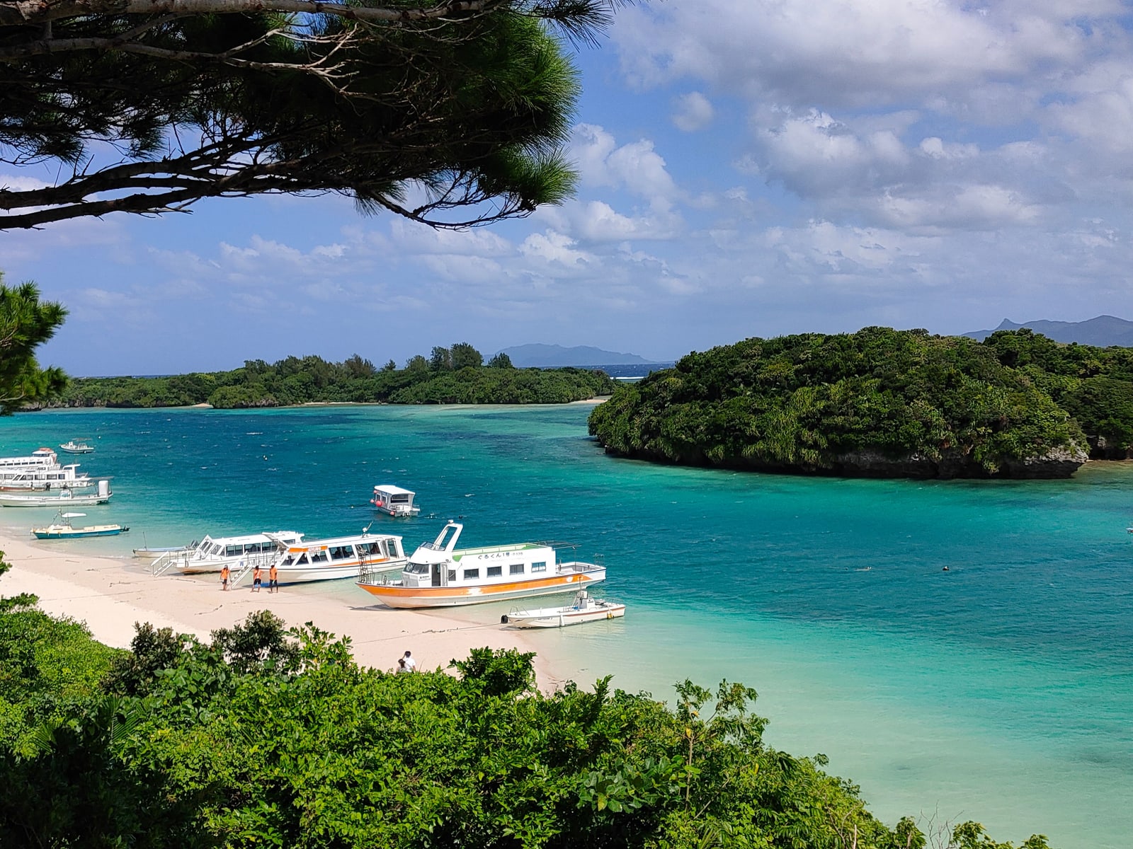 Kabira Bay on Ishigaki seen through pine branches, glass-bottom boats on the beach.