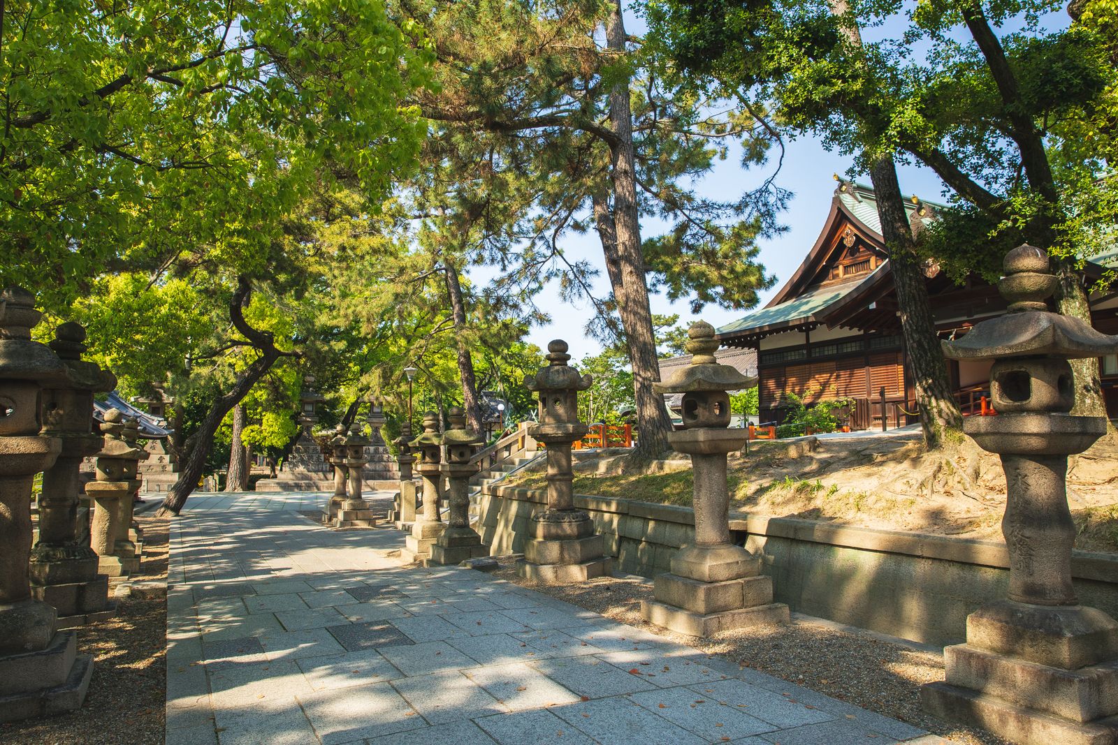 A paved shrine path lined with old stone lanterns under pine trees, a wooden hall with a green roof on the right