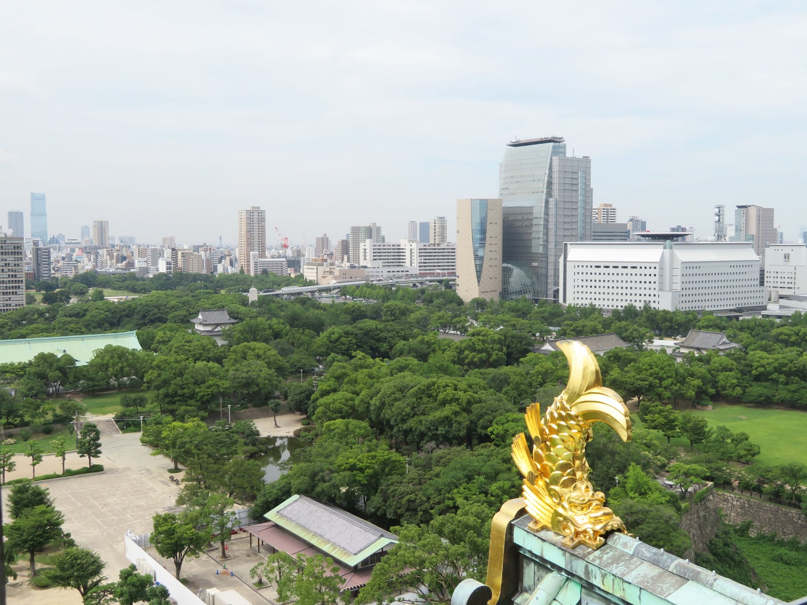A gold roof fish ornament in the foreground, the park's trees below and high-rise towers behind them.