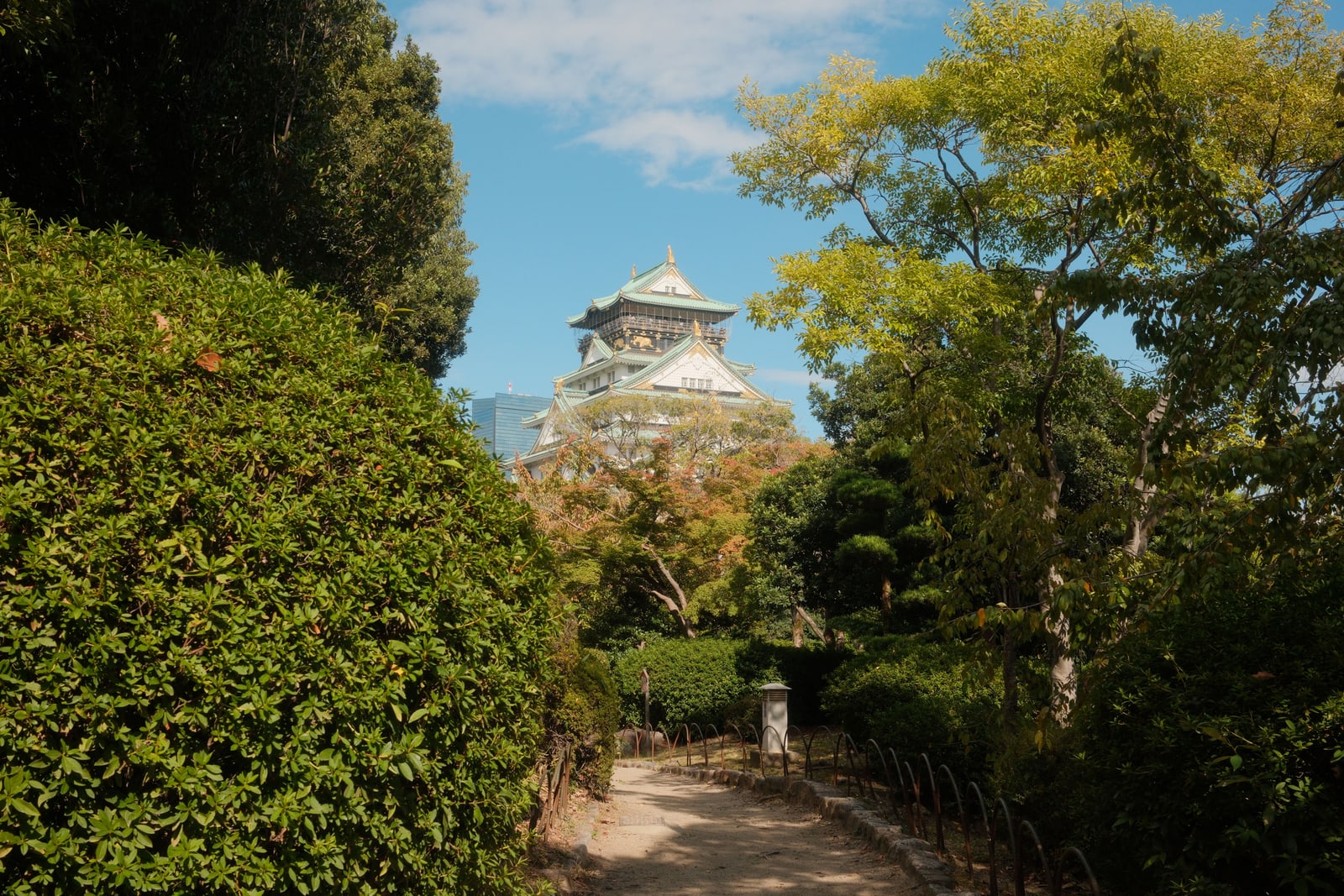 A gravel path between clipped hedges and trees, the top of the main tower showing above them.