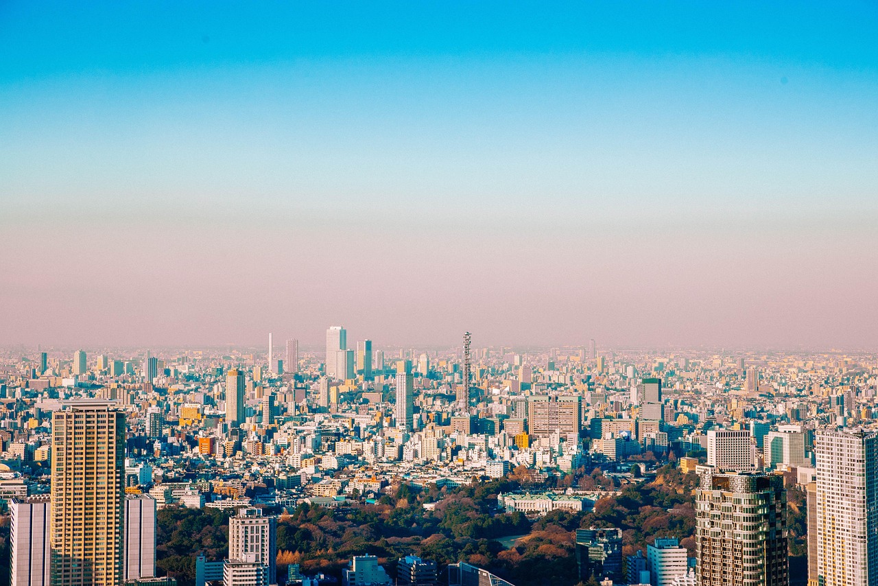 Central Tokyo from high up on a clear day, dense blocks and a wooded area with autumn colour running to a hazy horizon
