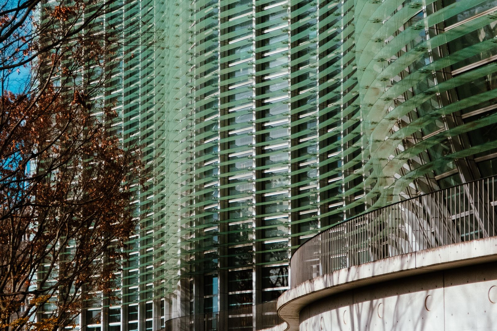 The wavy green glass facade of the National Art Center, Tokyo, with a curved concrete balcony and autumn leaves