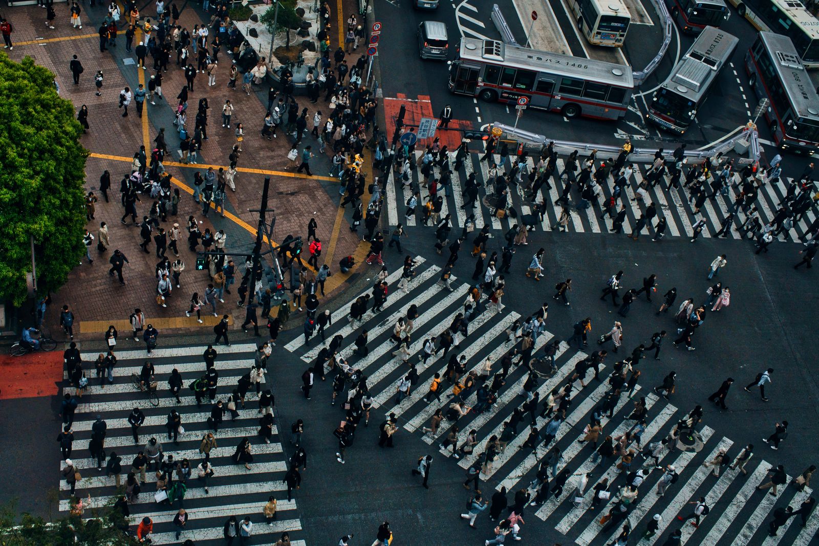 Shibuya crossing photographed from directly above, hundreds of people moving across the stripes in every direction.