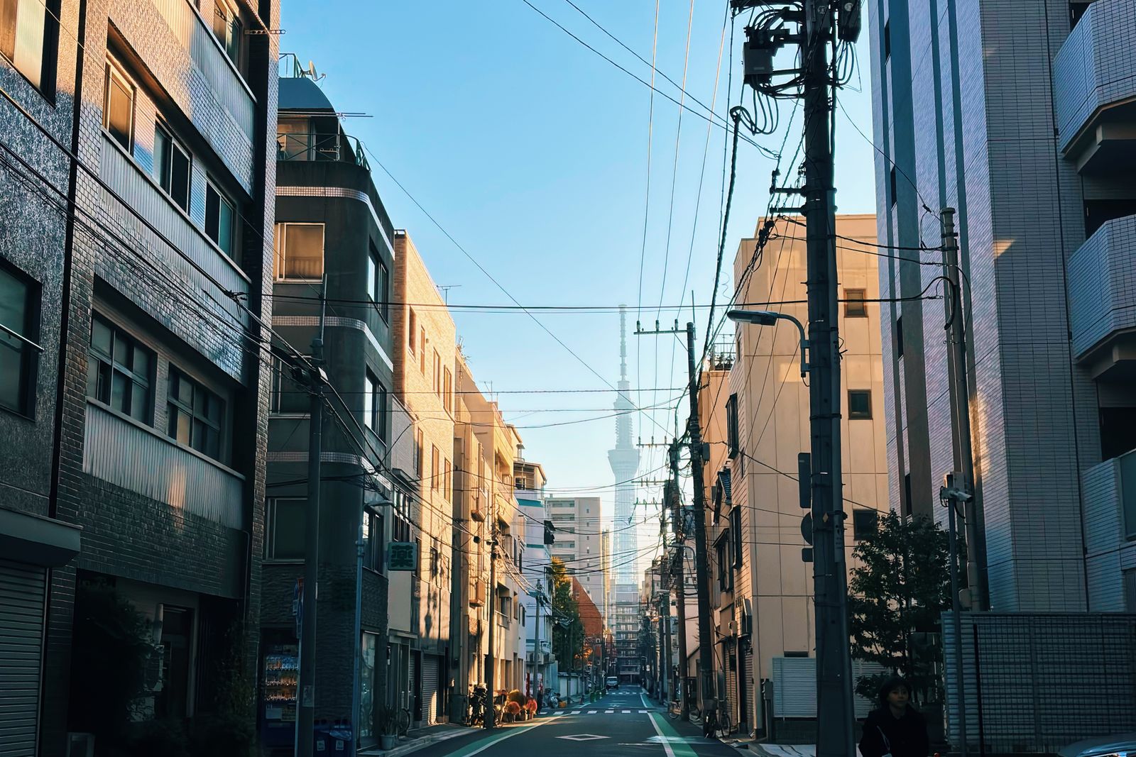 An ordinary Tokyo street in low daylight, overhead cables and Tokyo Skytree standing at the end of it.