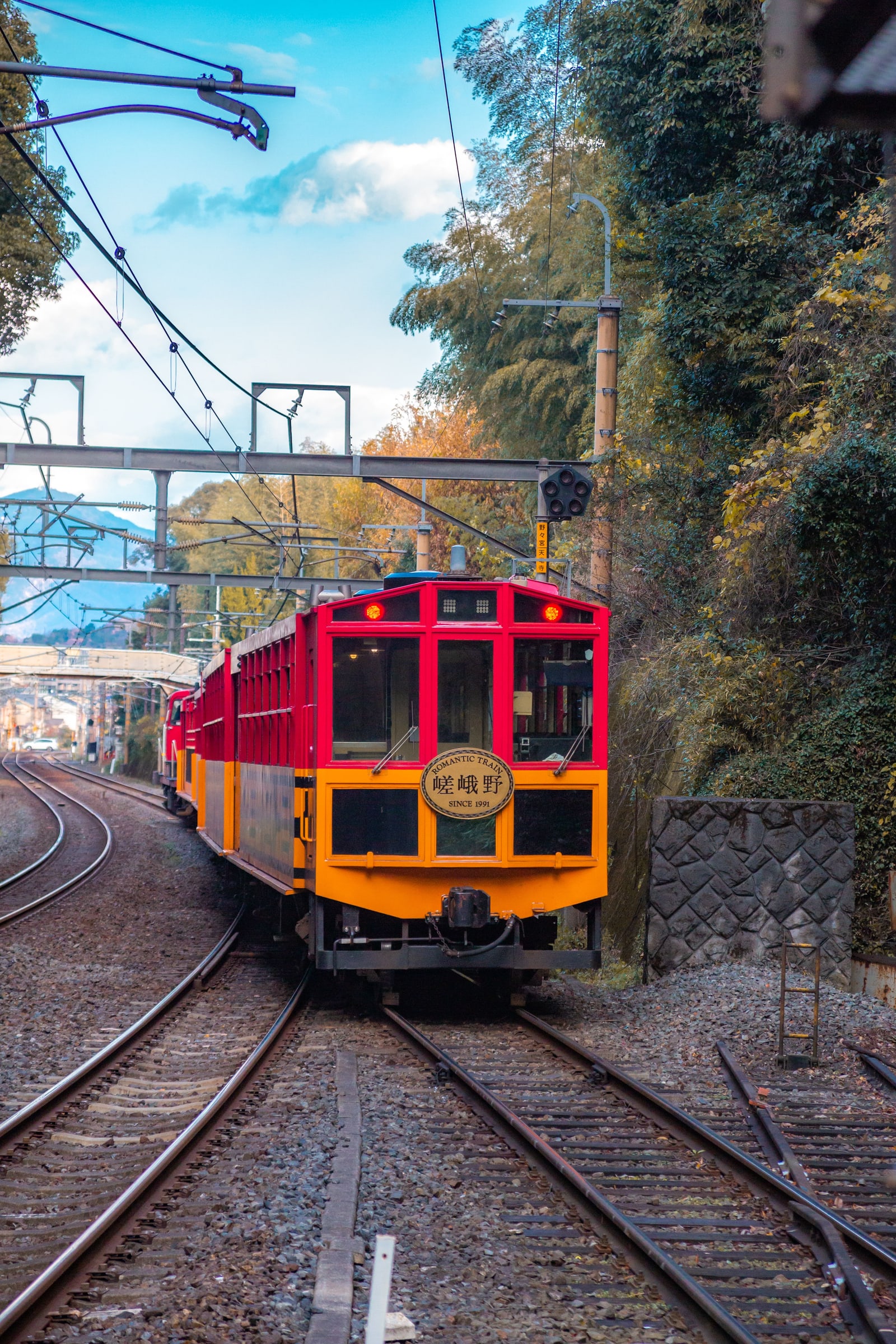 The red-and-yellow Sagano Romantic Train coming head-on along a curving track, bamboo and autumn trees beside it.