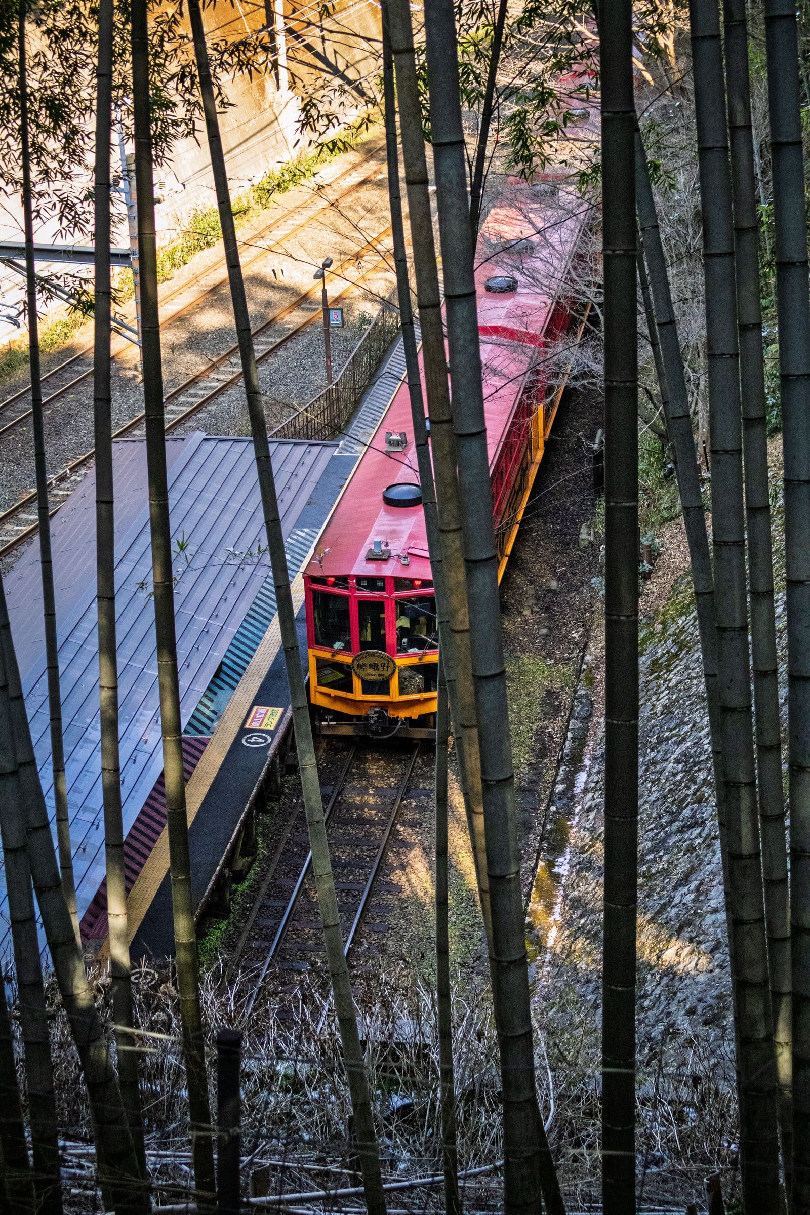 The Sagano Romantic Train seen from above through bamboo stalks, standing beside a long roofed platform.