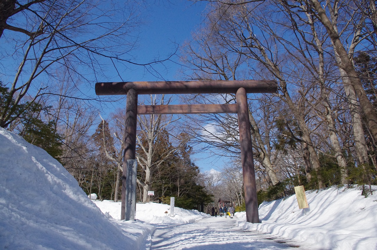 A large wooden torii over the snow-cleared approach to Hokkaido Jingu, bare trees and blue sky