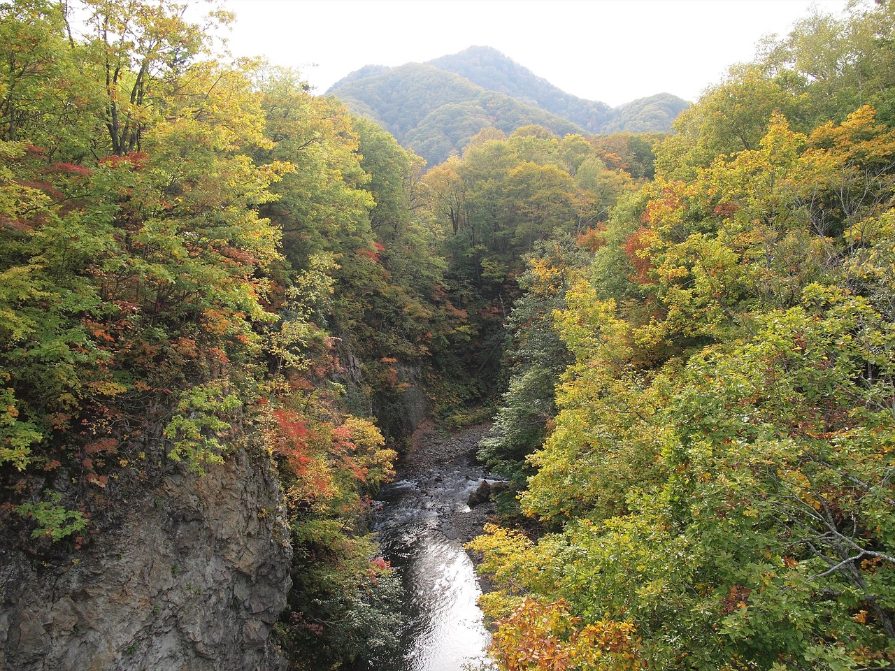 A river gorge between slopes of yellow, orange and red autumn leaves near Jozankei