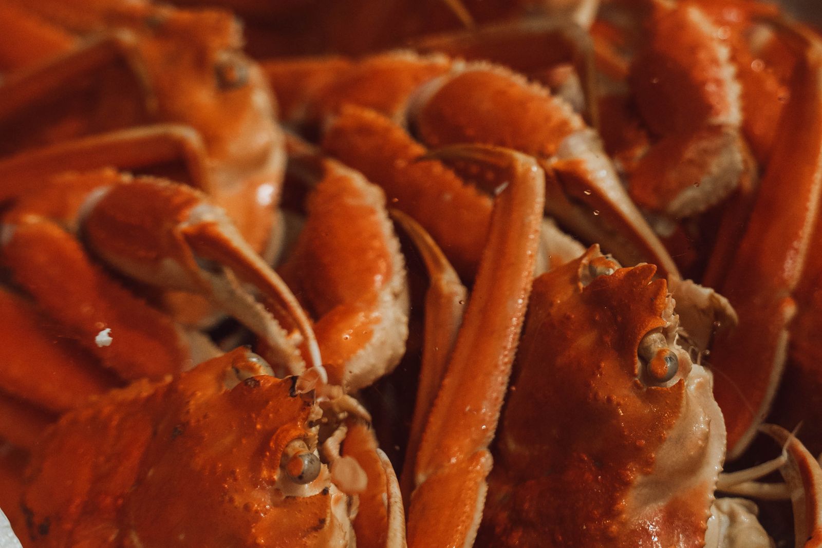 Boiled crabs piled in a white styrofoam box at a market.