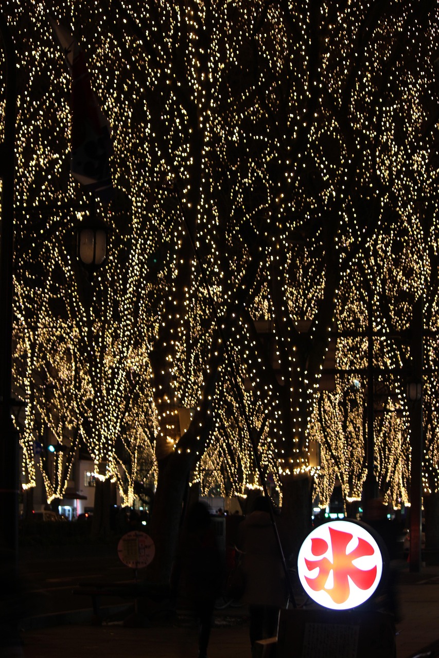 Tall trees at night wrapped in thousands of tiny warm-white lights, a lit round sign with a red ice character at lower right