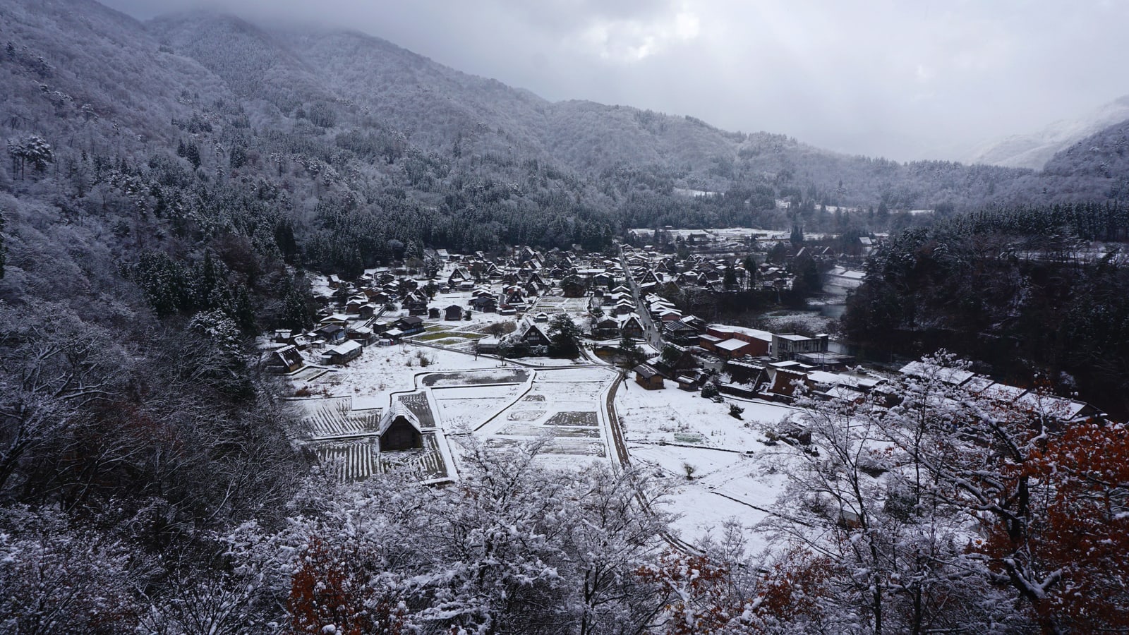 Shirakawa-go under fresh snow seen from above, the village in a valley between wooded mountains, low cloud over the ridges.