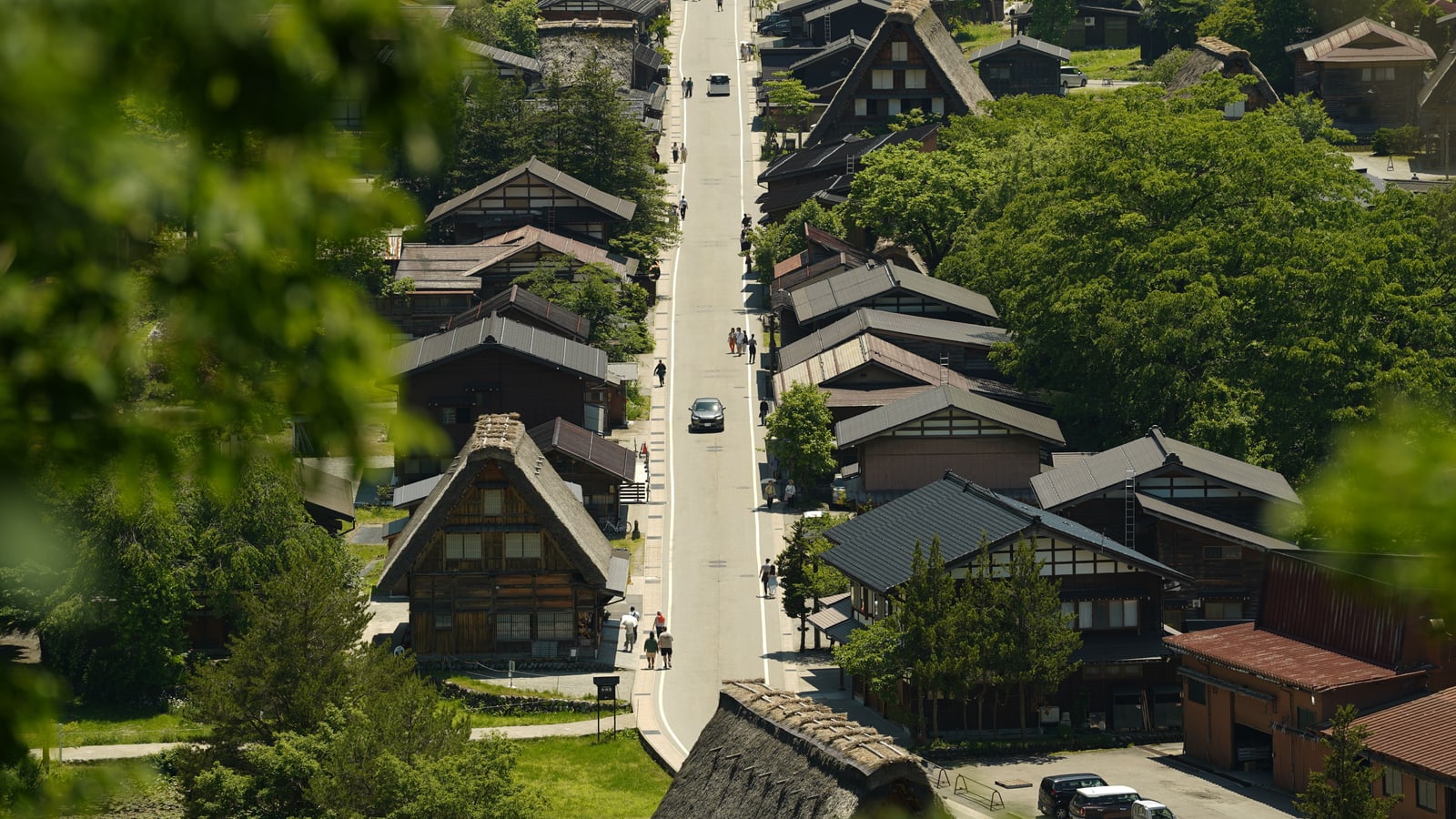 A long straight street through Shirakawa-go seen from above, thatched roofs on both sides, green trees in summer.