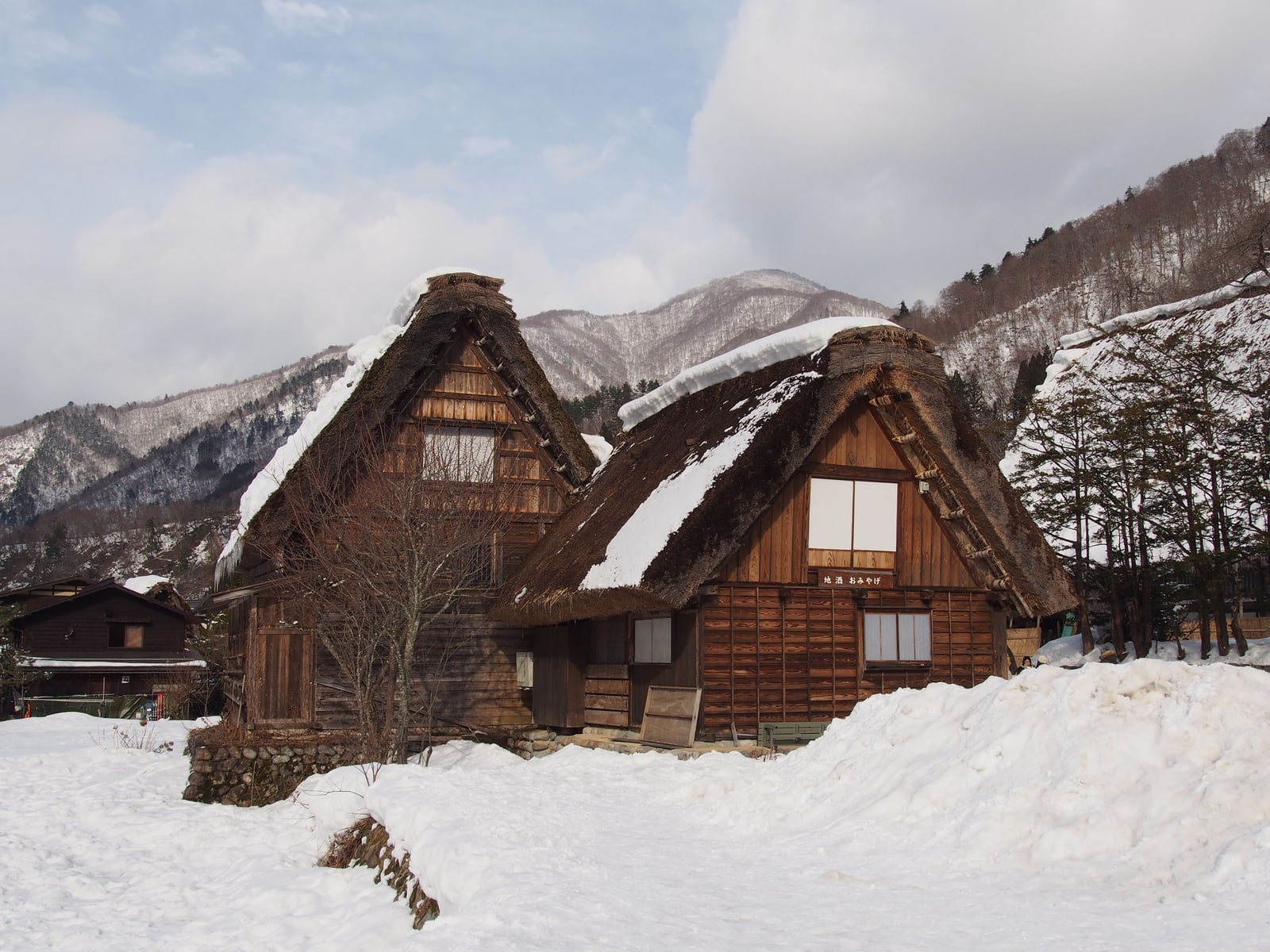 Two thatched gassho-style houses with snow on their roofs and deep snow in front, bare trees and mountains behind.