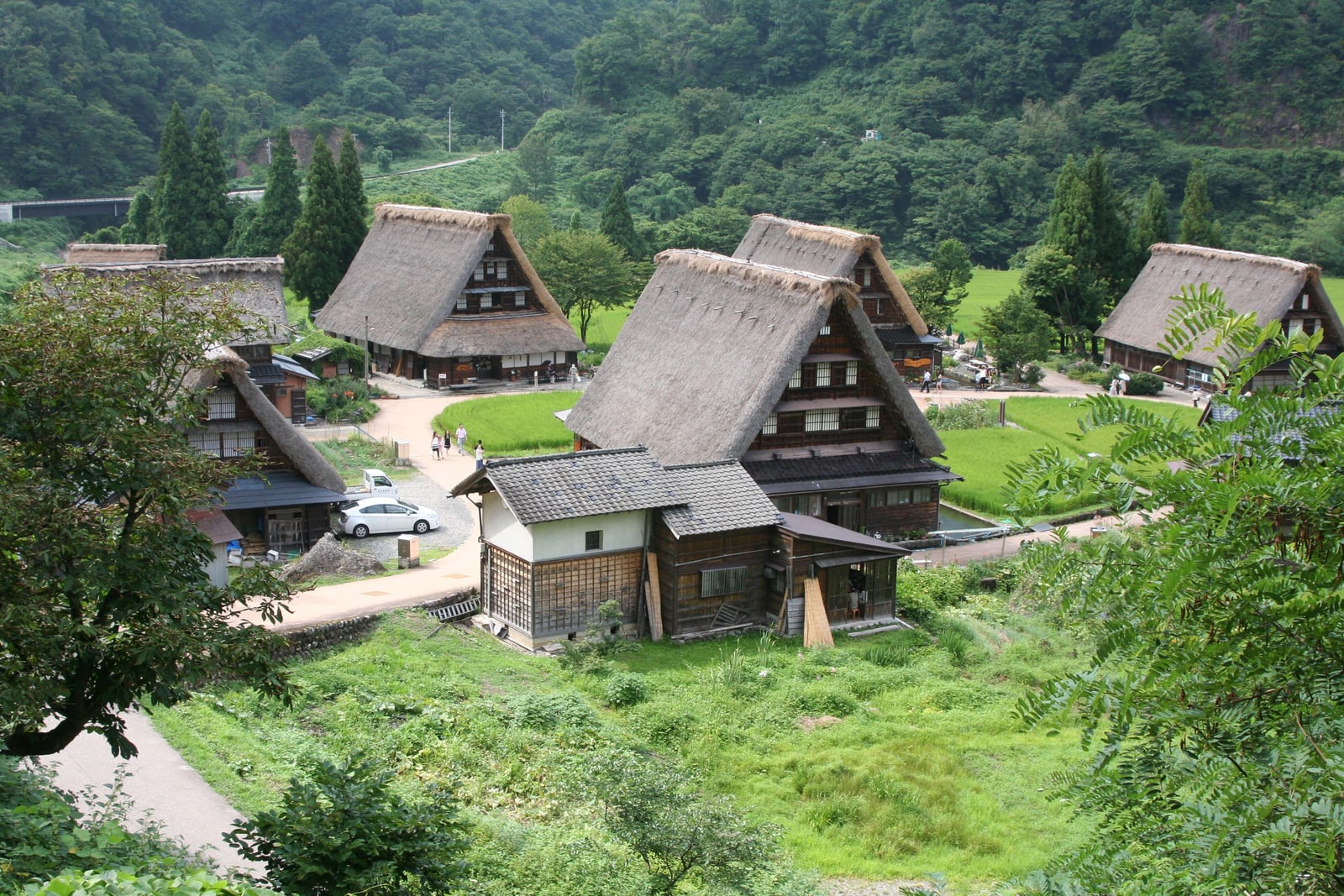 Thatched gassho-style houses among green lawns and trees in Suganuma, Gokayama, Toyama.