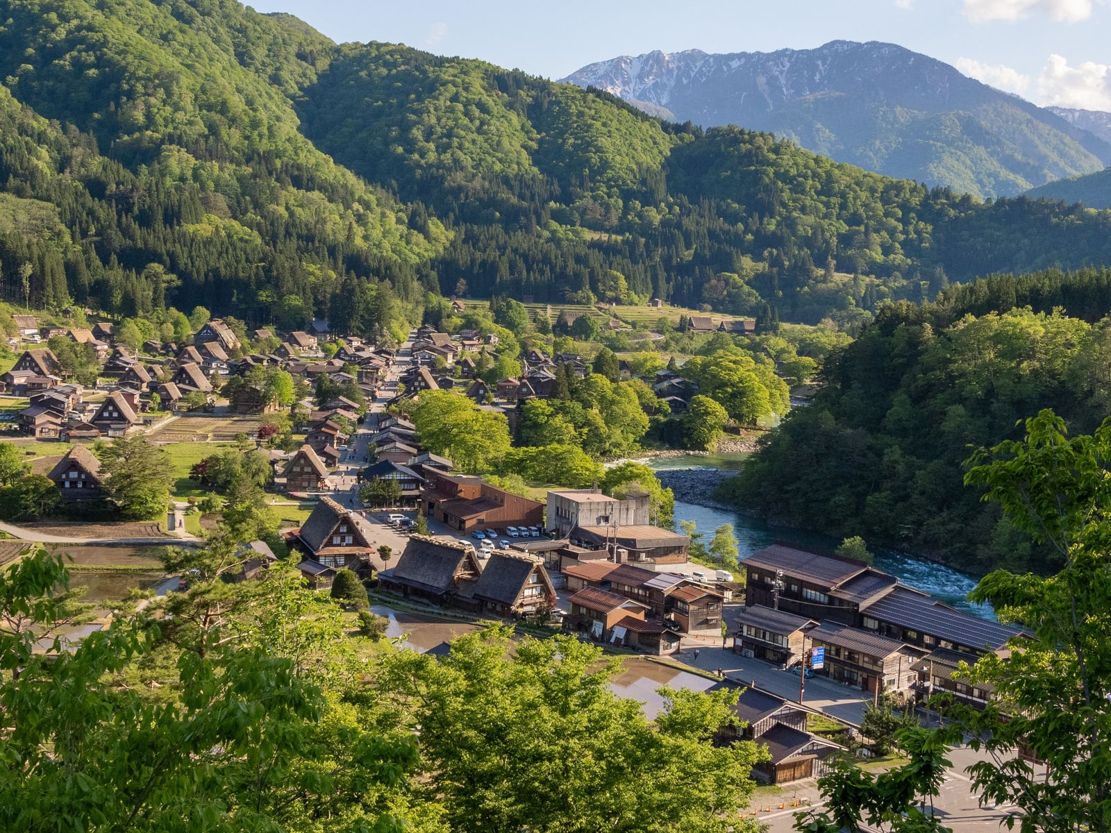 Shirakawa-go seen from a hillside, rows of thatched roofs among green fields along a river, forested mountains behind.