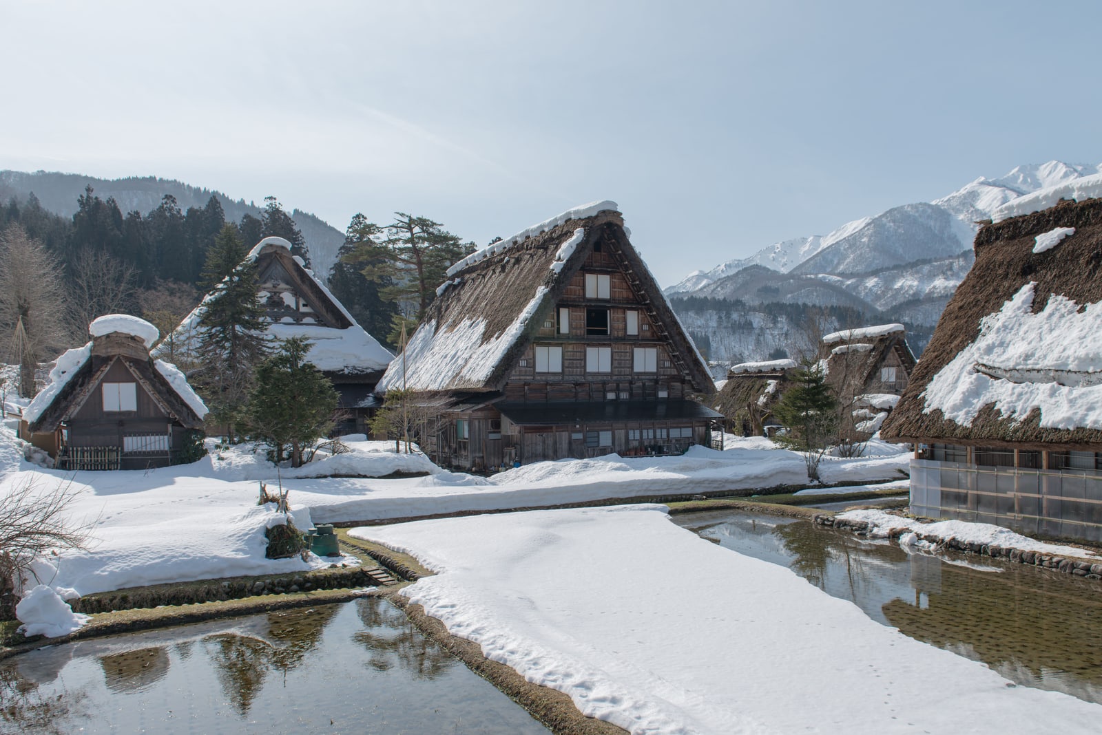 Thatched gassho-style farmhouses under snow beside a flooded rice field, snowy mountains behind, Shirakawa-go in winter.