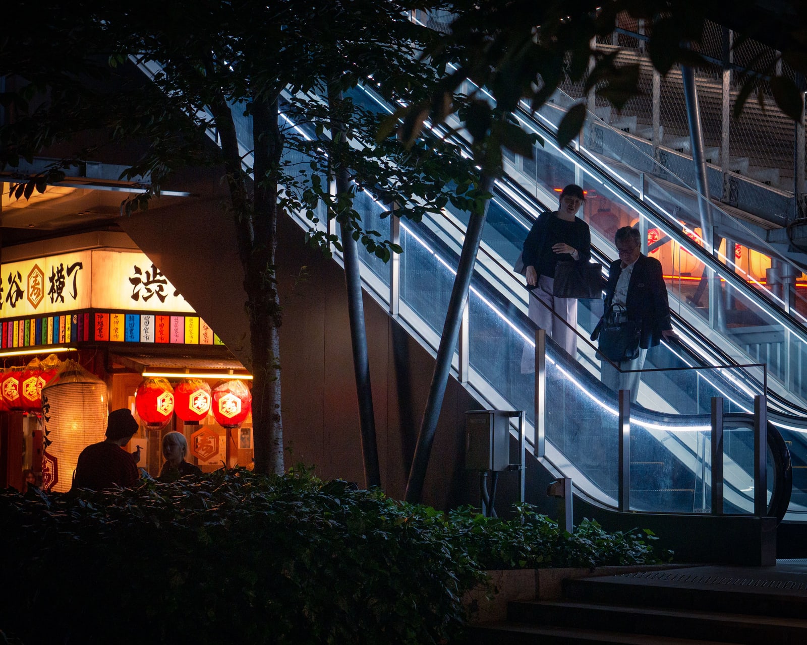 The entrance of an izakaya at night with red paper lanterns and a lit 渋谷横丁 sign, an escalator beside it