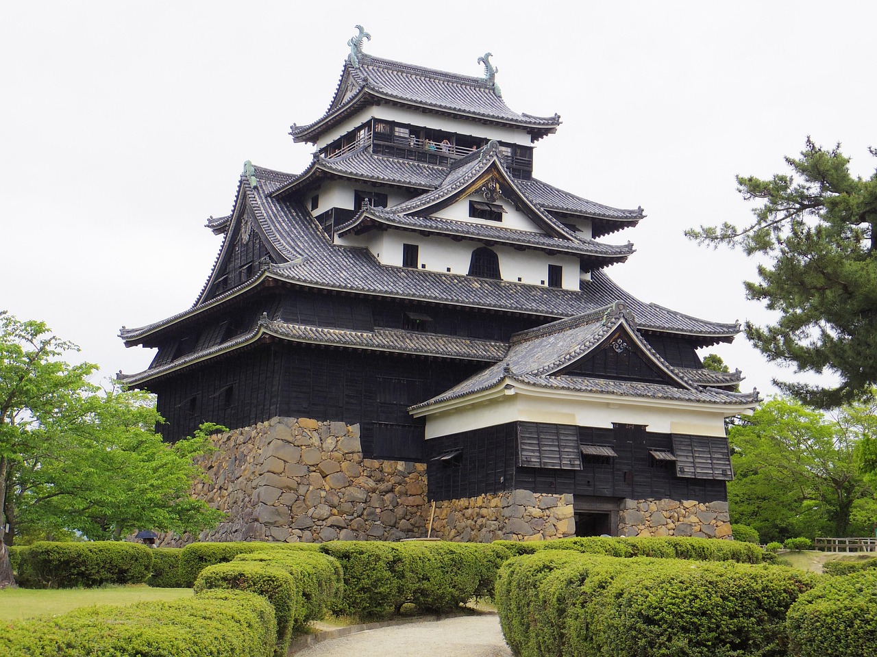 The black-boarded keep of Matsue Castle above its stone base, clipped hedges in front
