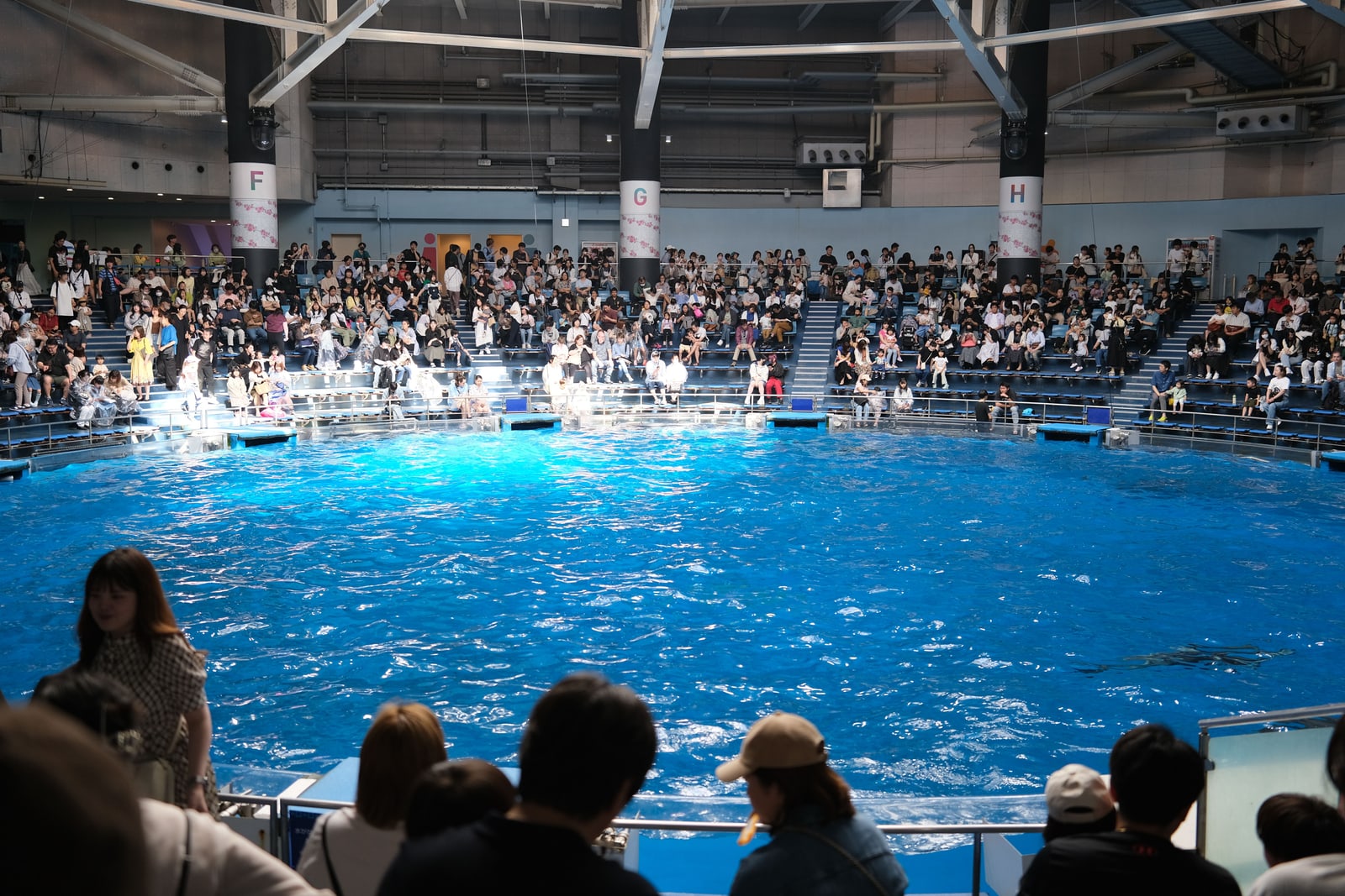 The indoor show pool at Maxell Aqua Park Shinagawa, bright blue water in front of tiered seats full of visitors