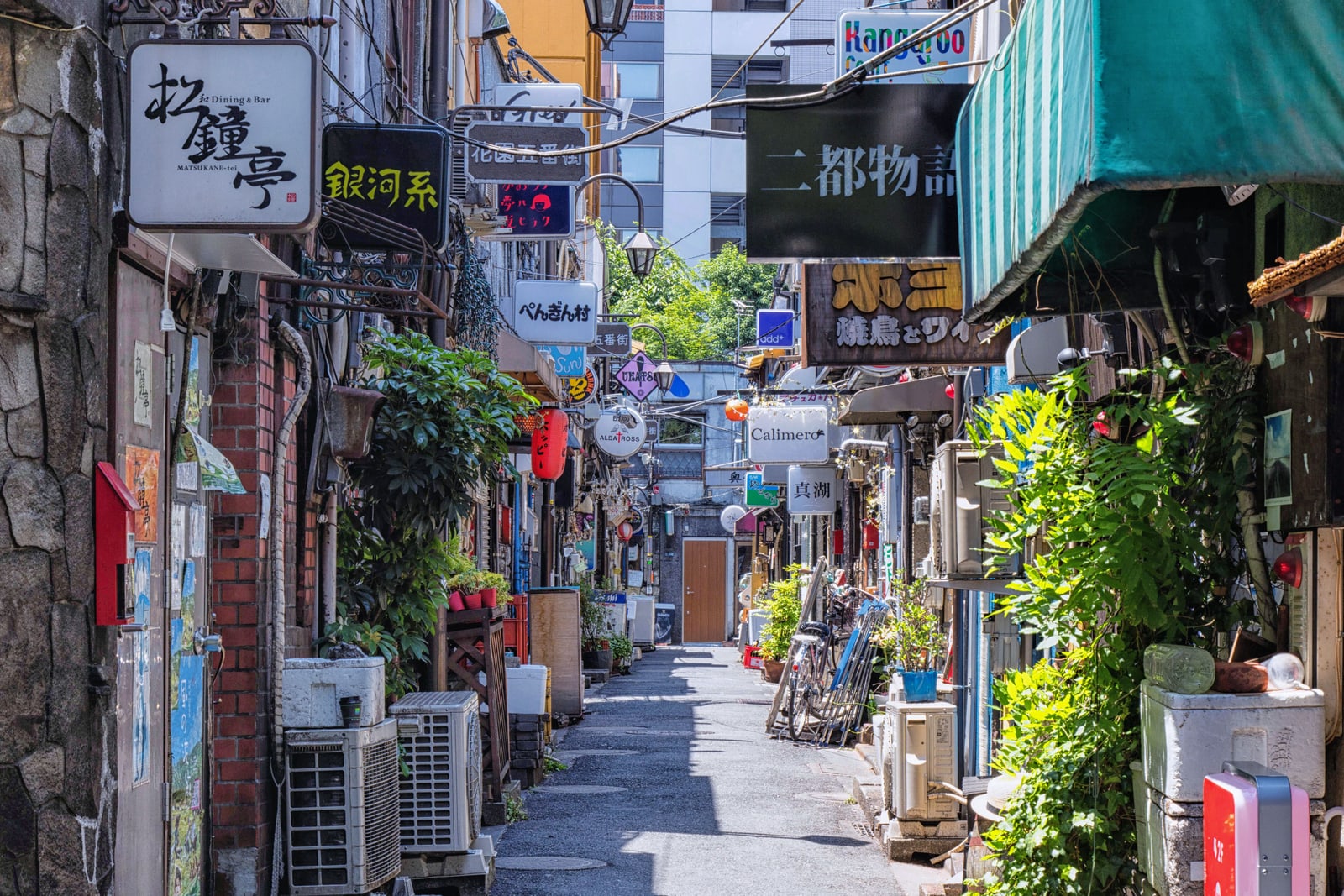 A narrow sunlit alley of small bars with stone and brick walls, potted plants and hanging signs on both sides, one sign reading 花園五番街