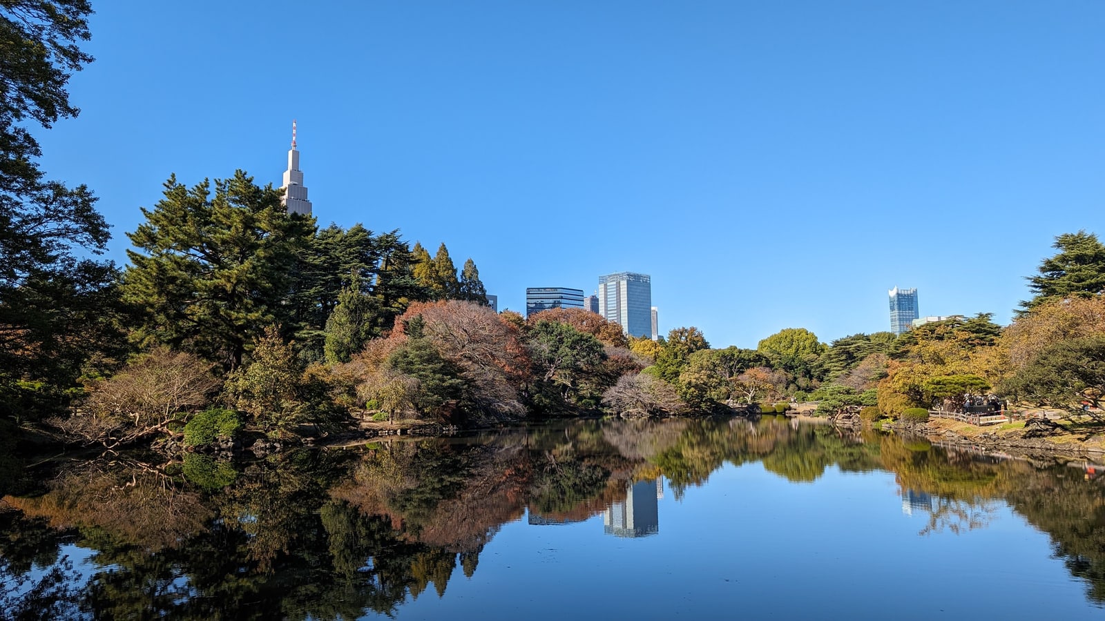 A still pond in a garden reflecting pines and autumn-coloured trees, the NTT Docomo Yoyogi Building and glass towers behind the tree line