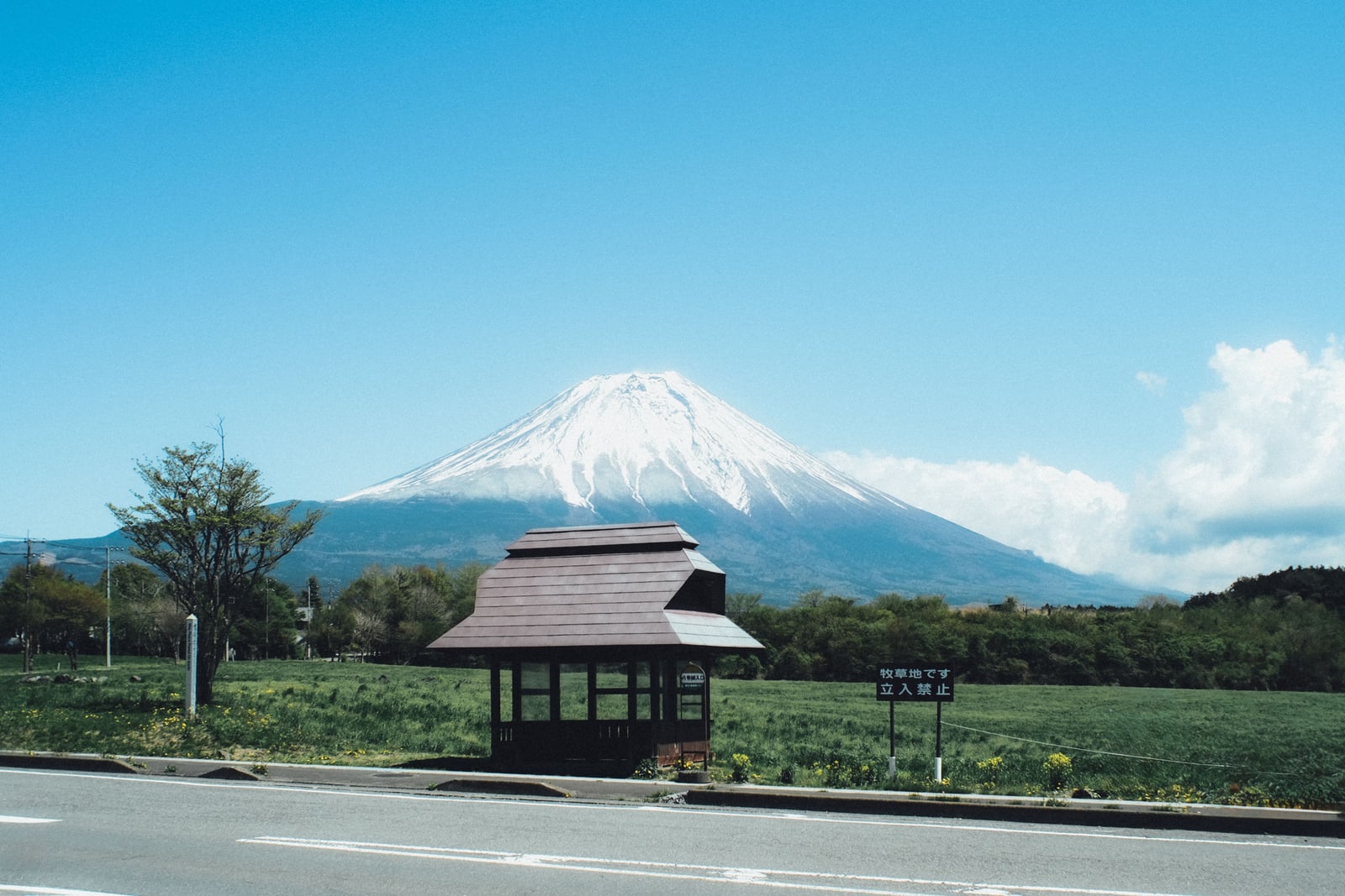 Snow-capped Mt. Fuji above a green pasture and a small wooden roadside shelter, on the Fujinomiya side as the photographer places it