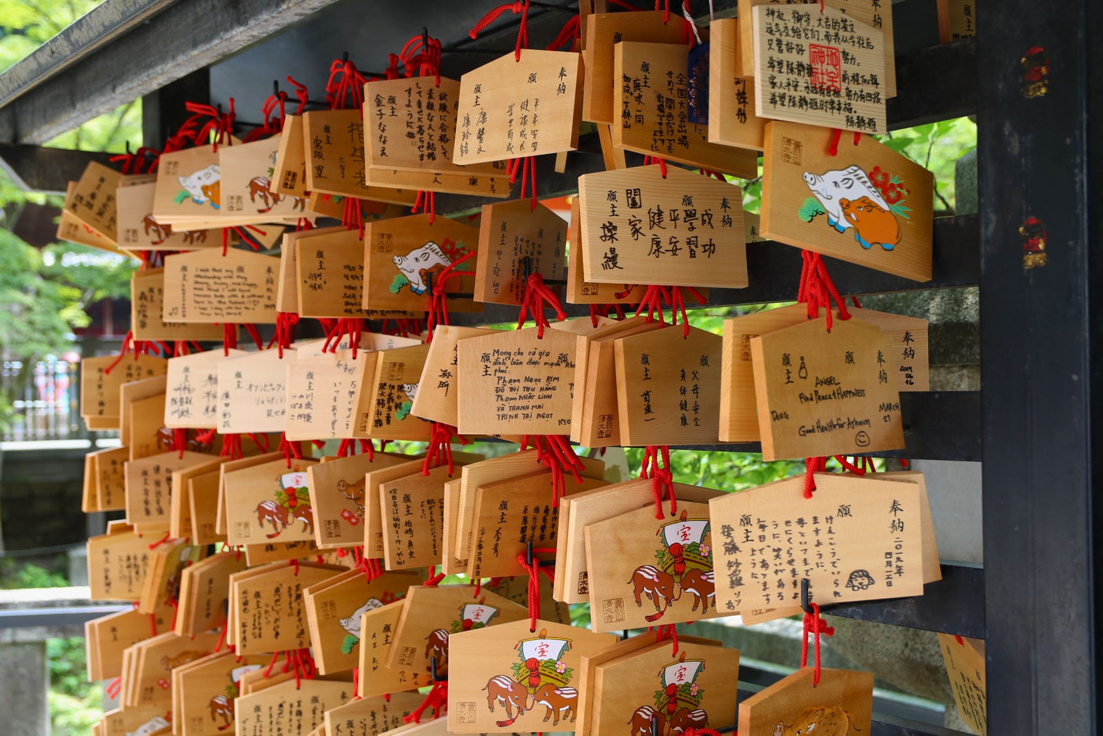 Rows of wooden ema wish plaques hanging at a Shinto shrine.