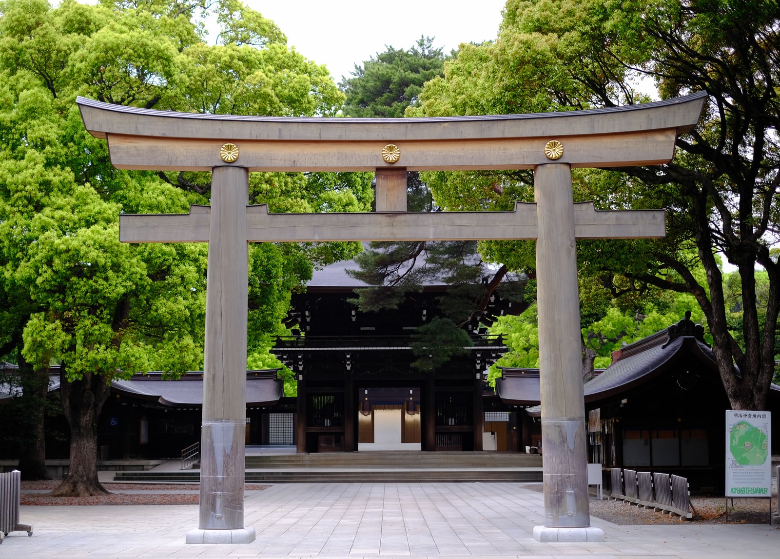 Wooden torii gate at the entrance to Meiji Shrine, Tokyo, with the shrine's main hall visible beyond.
