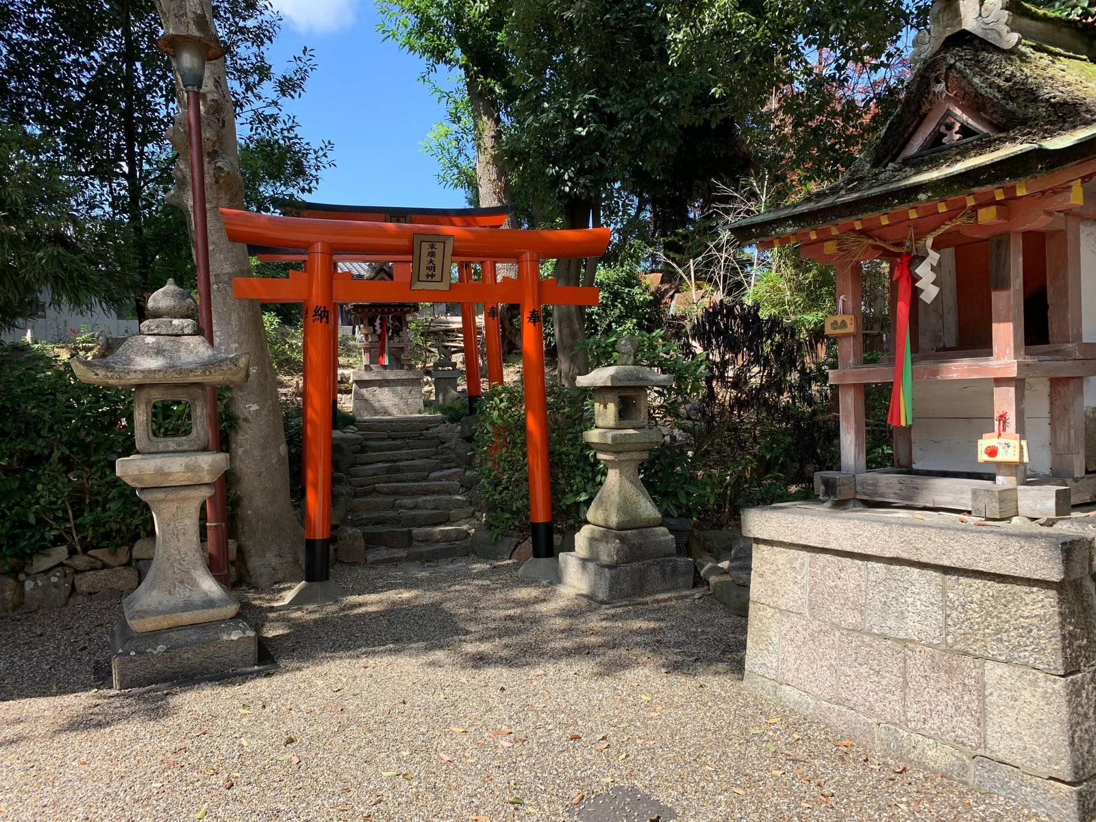 A shrine torii gate with stone lanterns among trees in Nara Park.