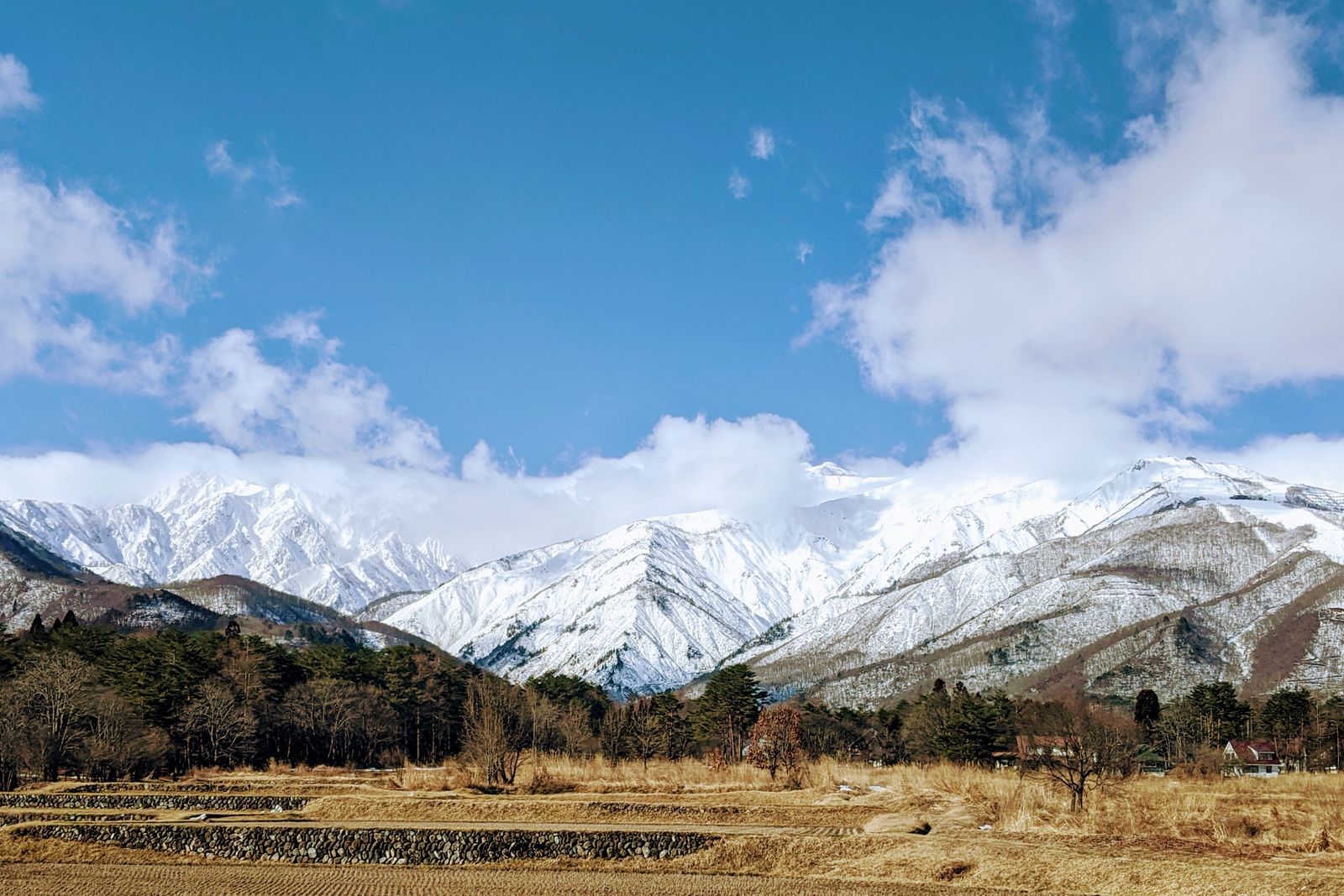 The snow-capped Hakuba range from the valley floor, dry rice fields and houses in front