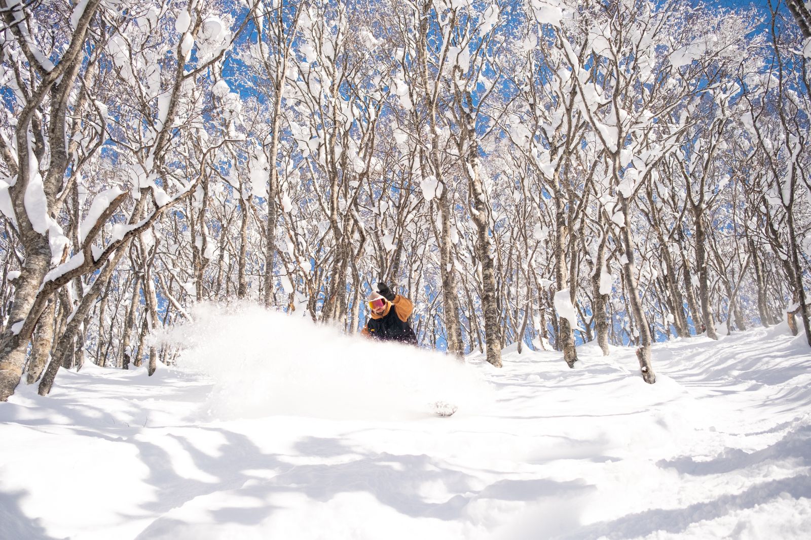 A snowboarder half-buried in a wall of powder spray in an open glade of snow-loaded bare trees under blue sky.