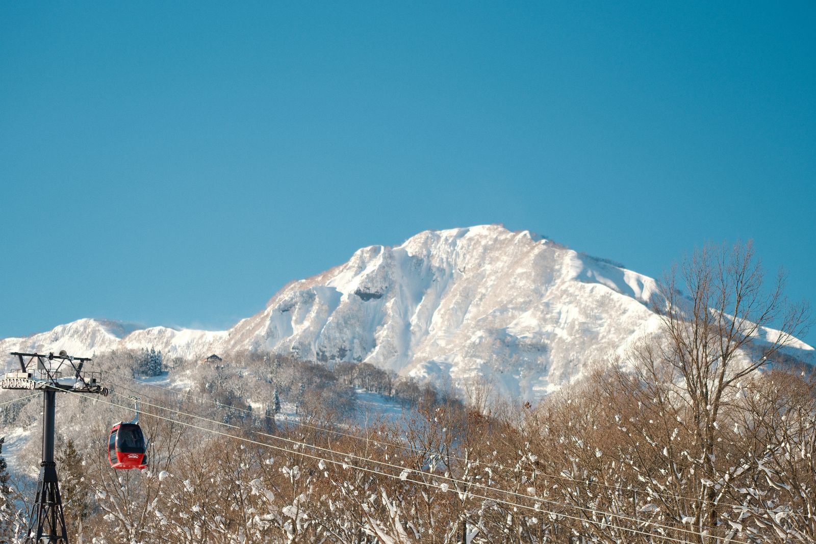 A single red gondola cabin on a cable, a lattice tower at left, snow-laden bare trees below and a steep craggy snow-covered peak behind under clear sky.