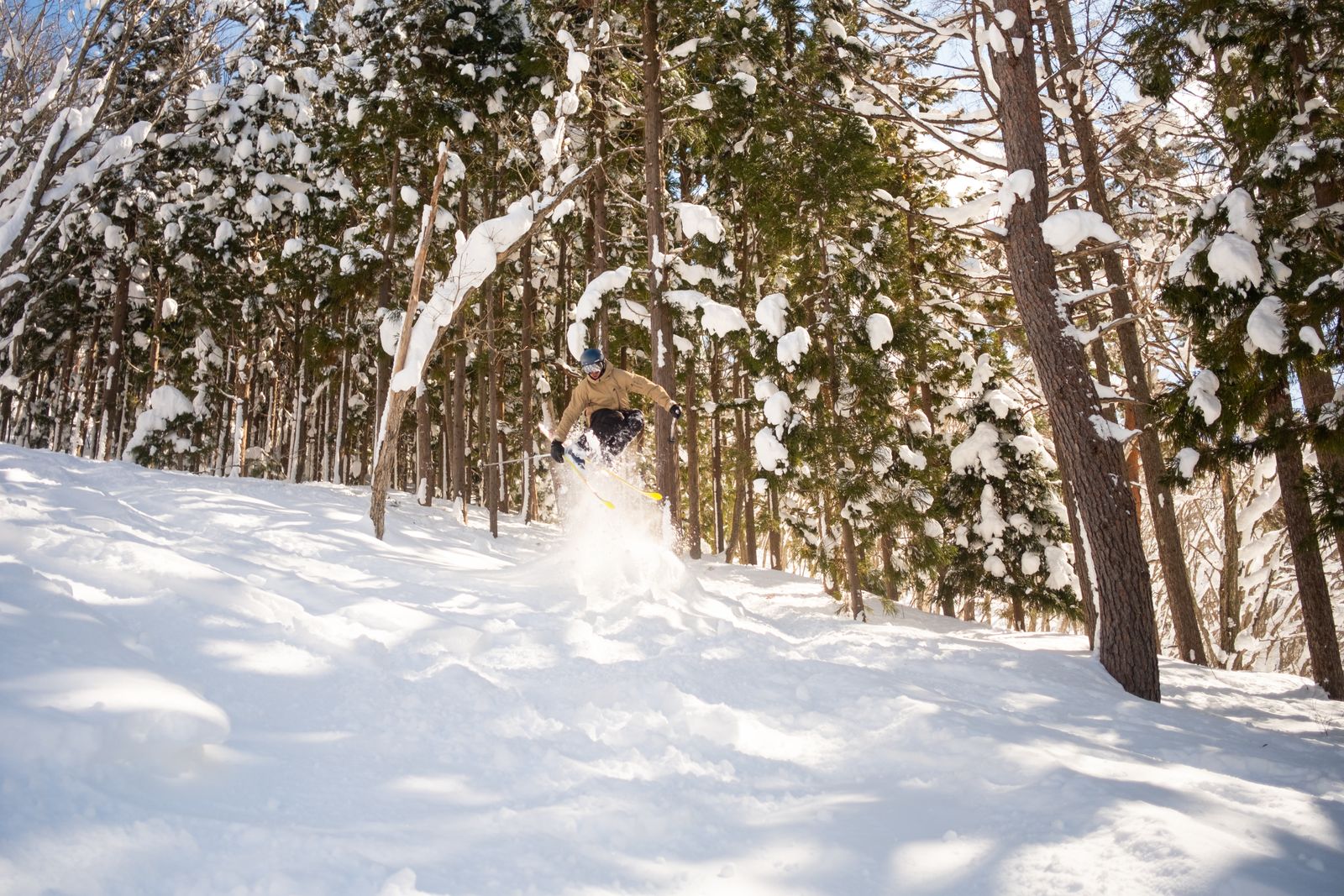 A skier in a tan jacket airborne over a bump between snow-laden conifers, poles out, in bright sun.