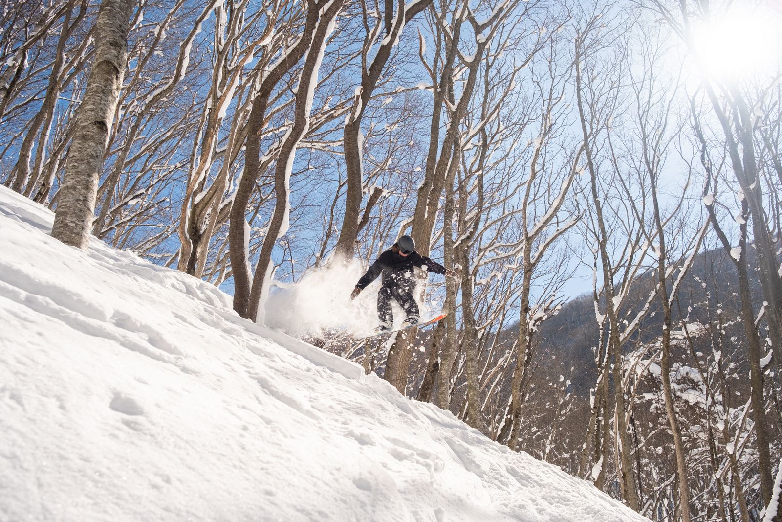 A snowboarder in a dark jacket mid-turn in a spray of powder between bare deciduous trunks on a steep slope, low sun flaring top right.