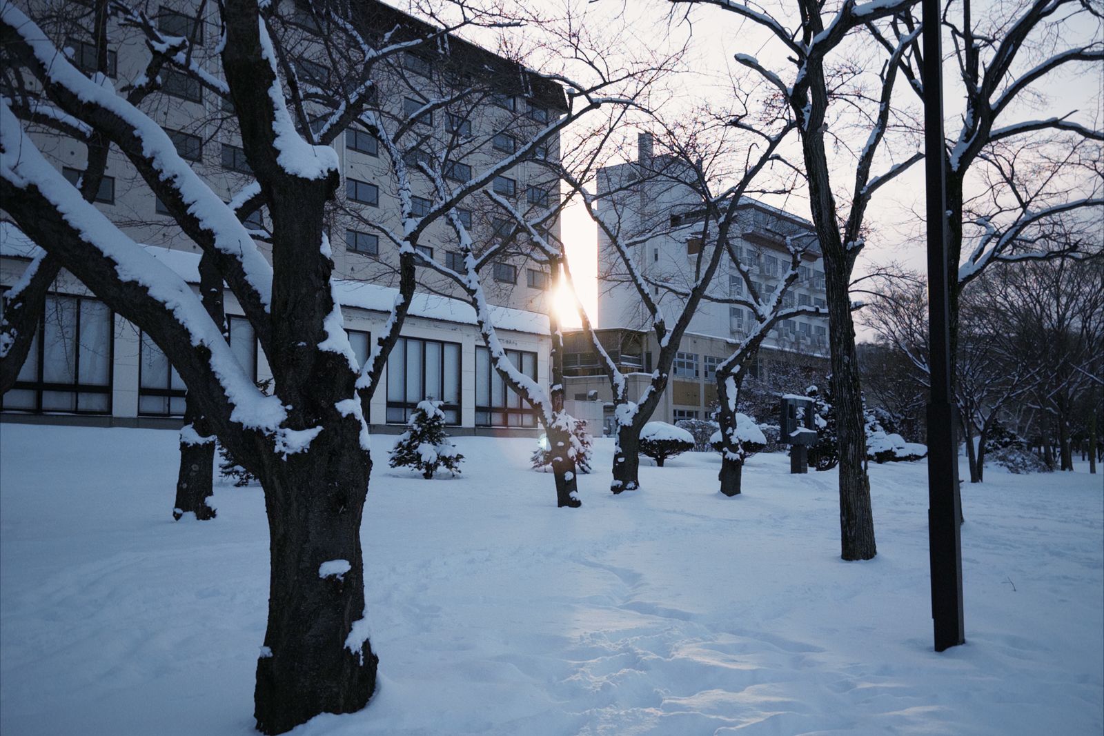 Low sun flaring between snow-crusted bare trees on a snowed-over lawn, two large hotel blocks behind in dim blue light.