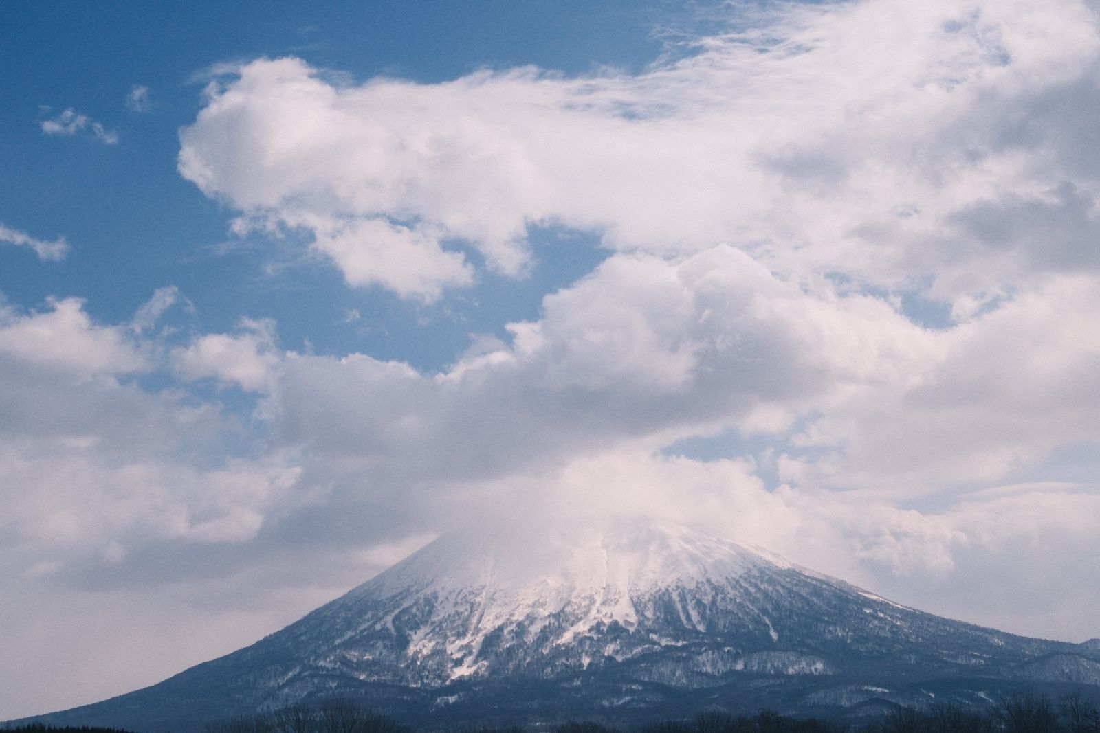 A single snow-covered conical volcano under heavy cumulus cloud, blue sky above, a dark treeline at the bottom edge.
