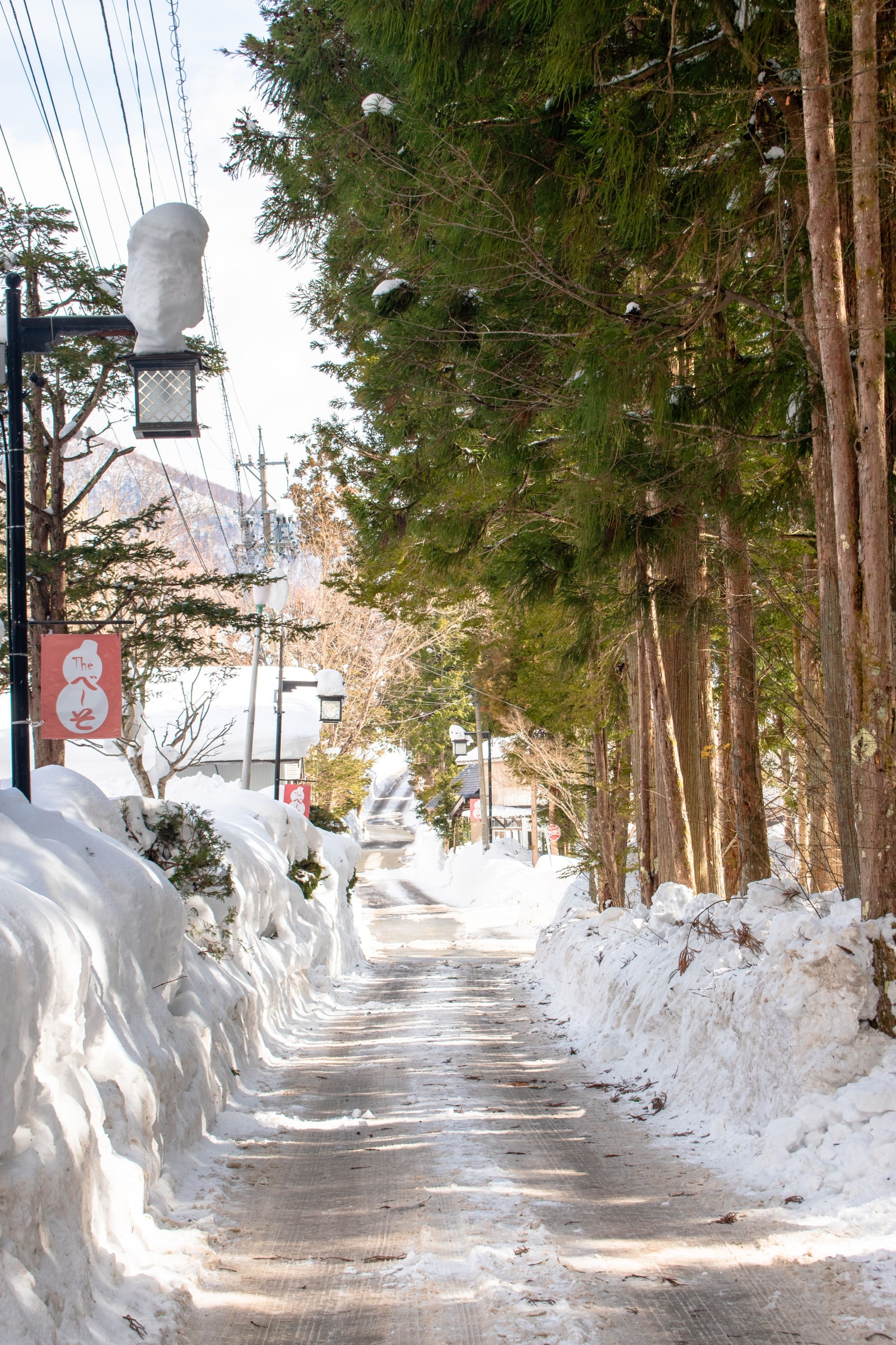 A lane cleared through deep banked snow between tall cedars, a lantern post with a small monkey sign at the left.