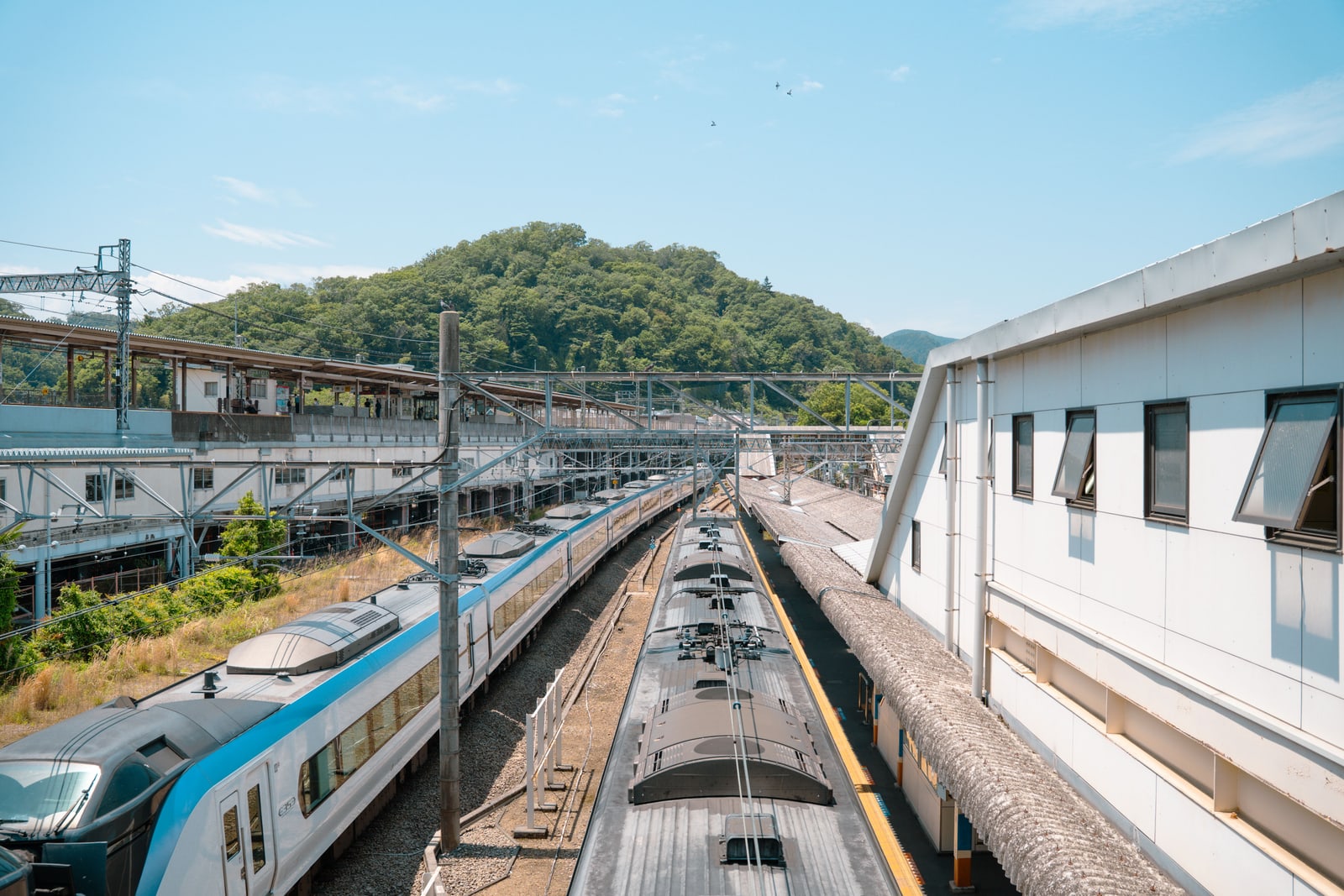 Trains parked in the yard of a station in Hachioji, western Tokyo, with a green hill behind under a blue sky.